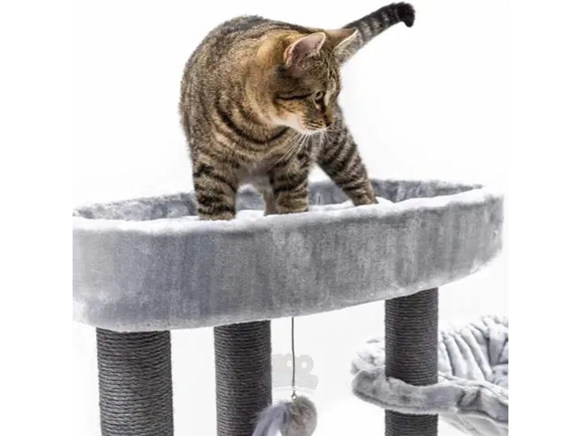Brunstripet katt på grått Petrebels Alexandra 127 kloretre med sisalstolper og myk liggekurv.