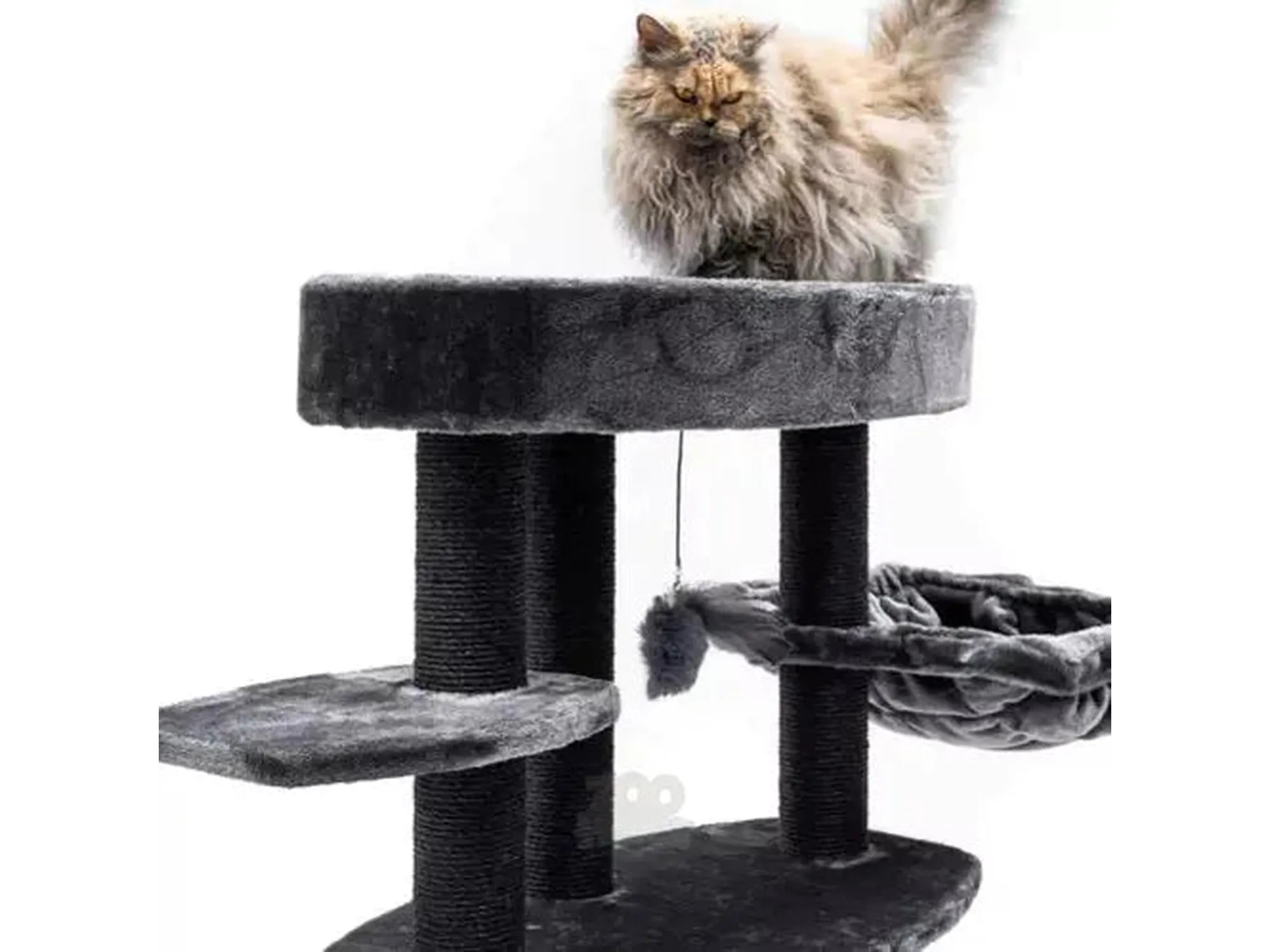 Grått Petrebels Alexandra 127 kloretre med flere nivåer, sisalstolper, hengekøye og en fluffy katt på toppen.