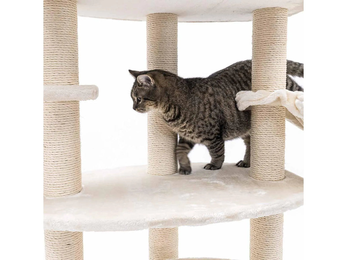 Petrebels Alexandra 127 cream med katt
