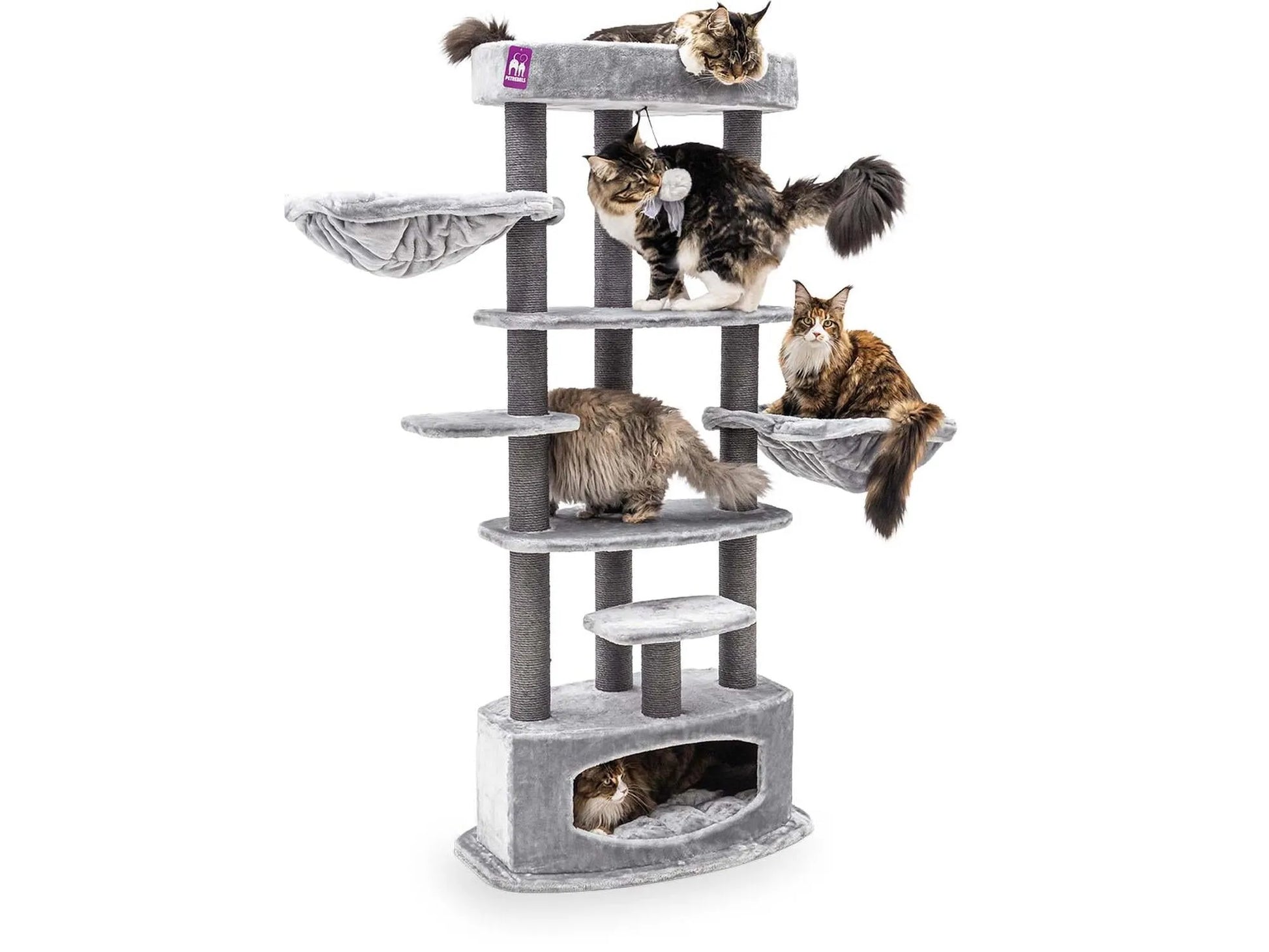 Petrebels Alexandra 177 kattetre i grey