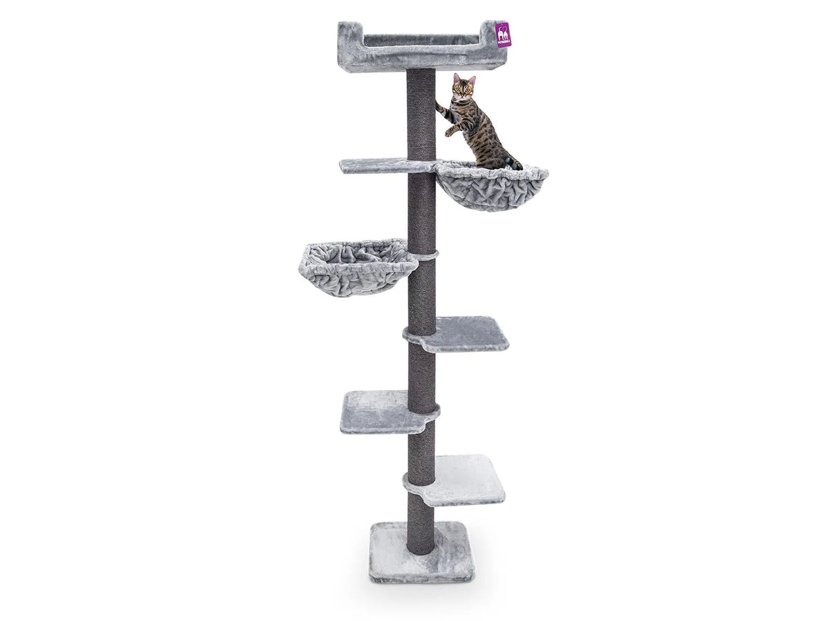 Petrebels Alexis 224 veggmontert kattetre i grey