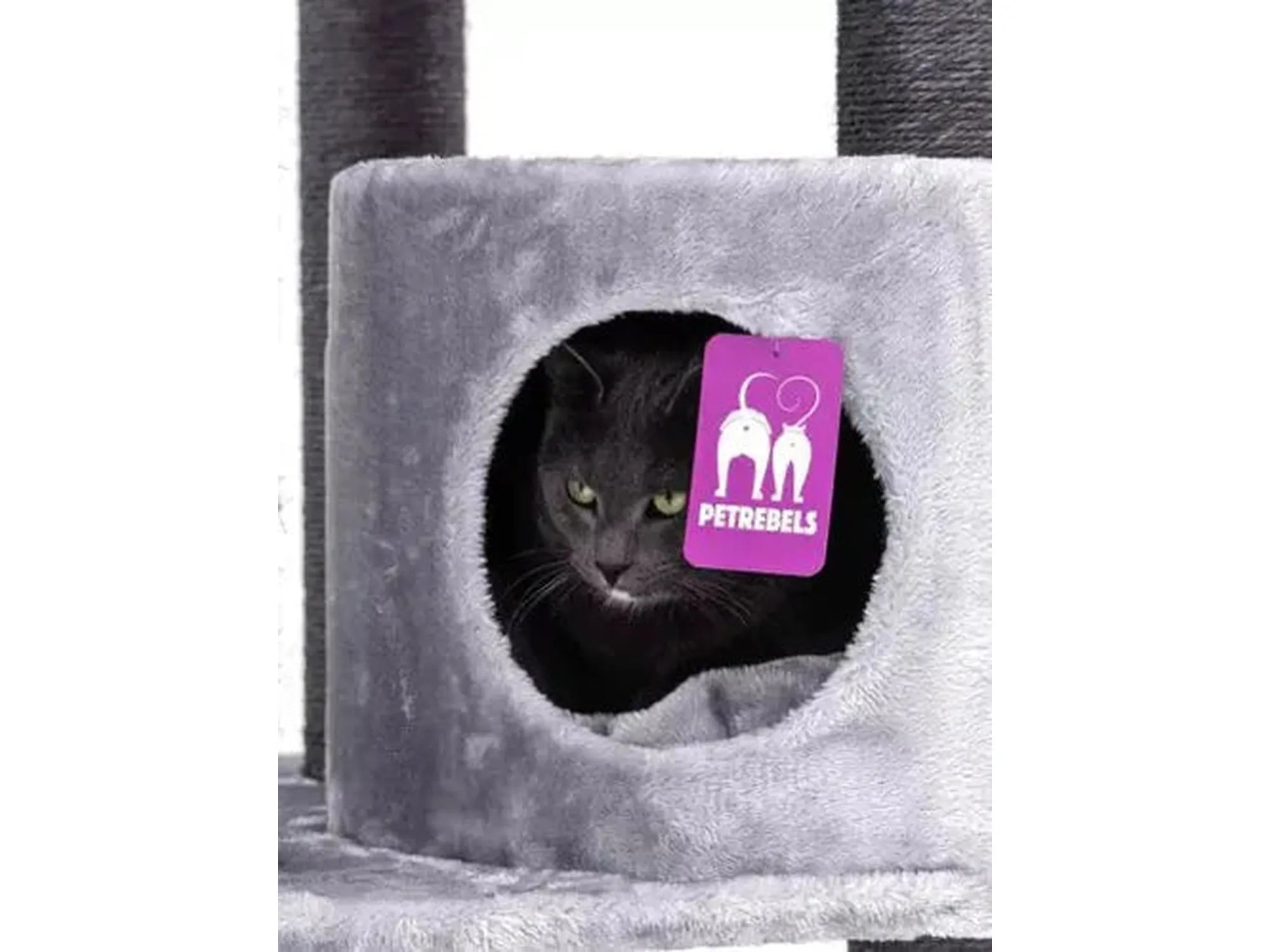 Grå katt i koselig, luksuriøst Petrebels Charlotte 134 kloretre med sisalstolper.
