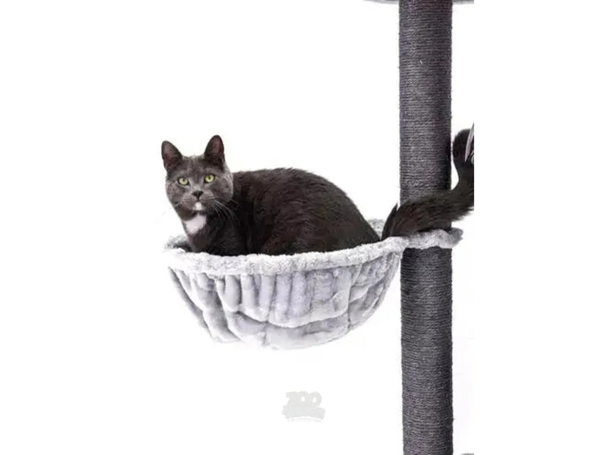Grå katt i en myk, lys grå hengekøye på et mørkegrått sisal kloretre.
