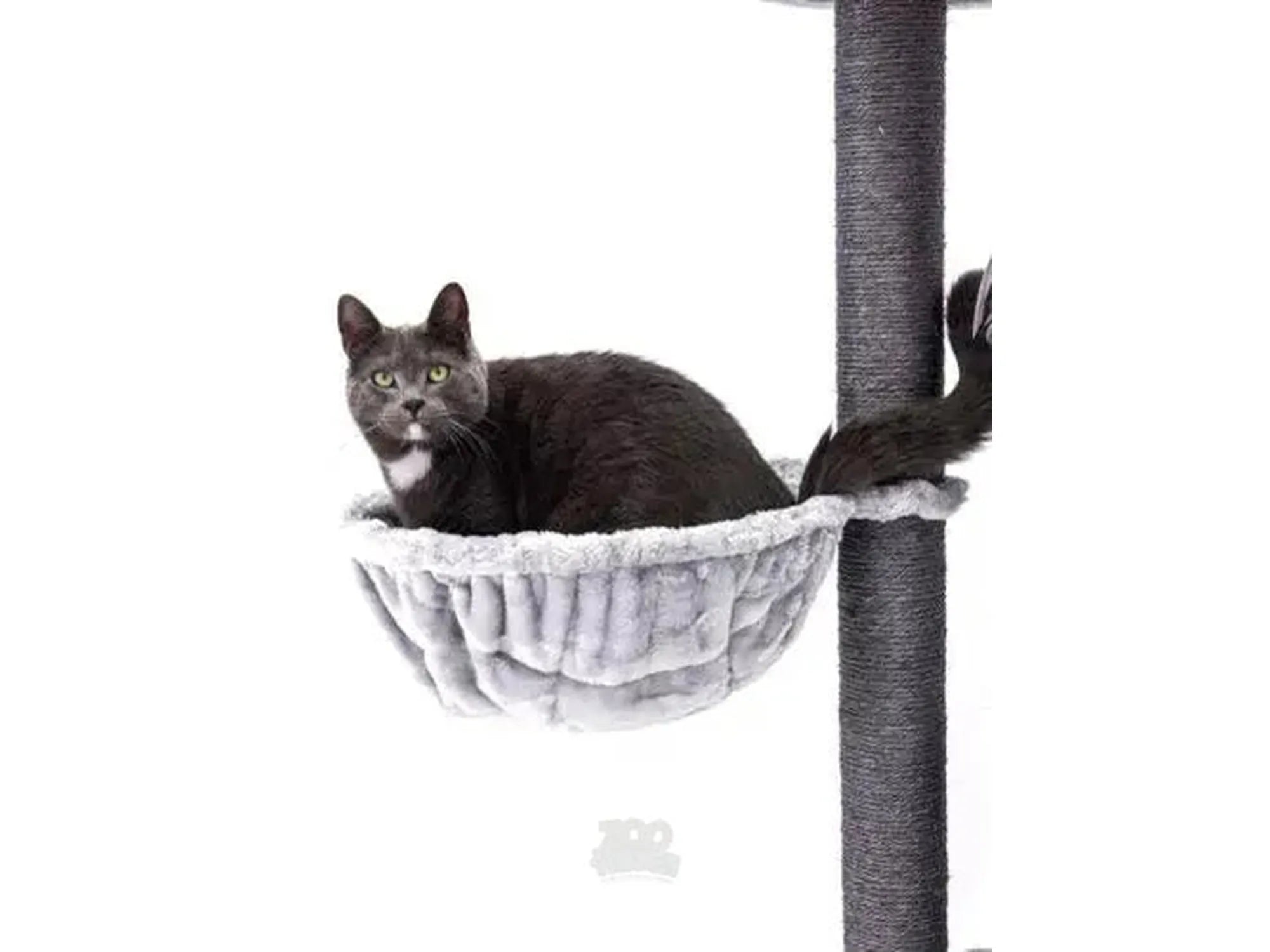 Grå katt i en myk, lys grå hengekøye på et mørkegrått sisal kloretre.