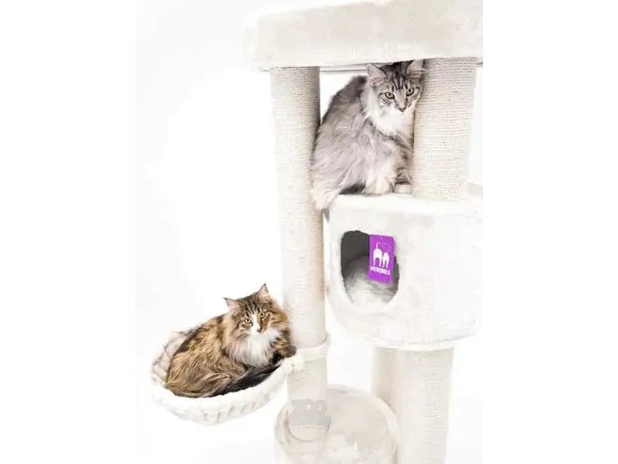 Cream Petrebels Charlotte 180 cat tree with sisal scratching posts, two cats, and a hammock.