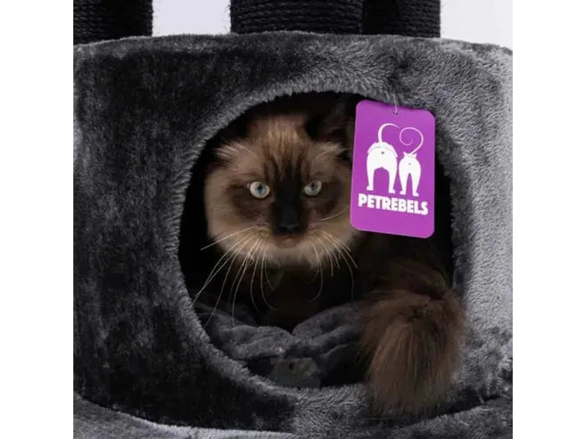 Brun katt i grått, mykt kattehus på et Petrebels Charlotte 180 kloretre.