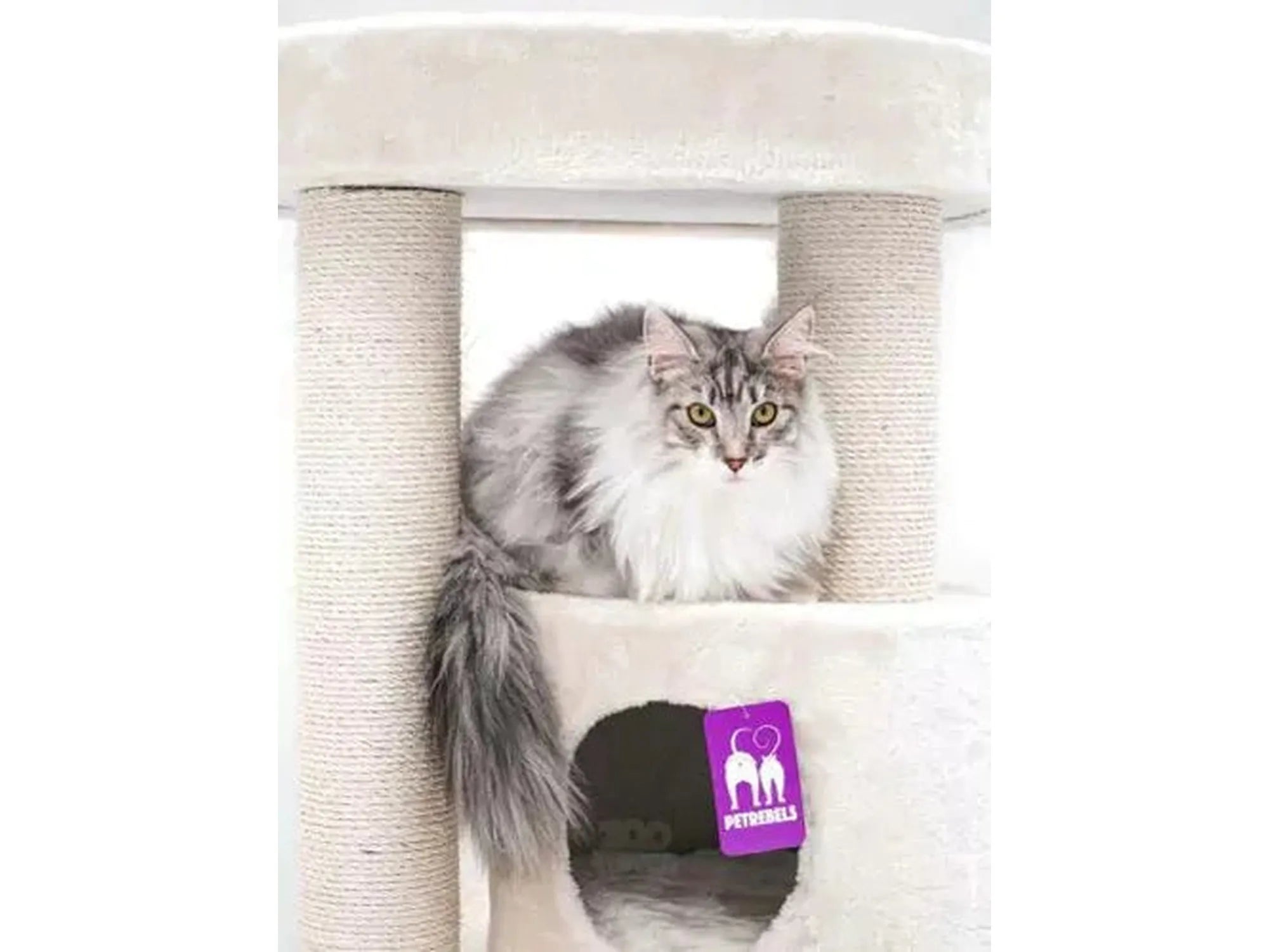 Fluffy gray cat on a tall, cream Petrebels Charlotte 180 cat tree with sisal scratching posts.