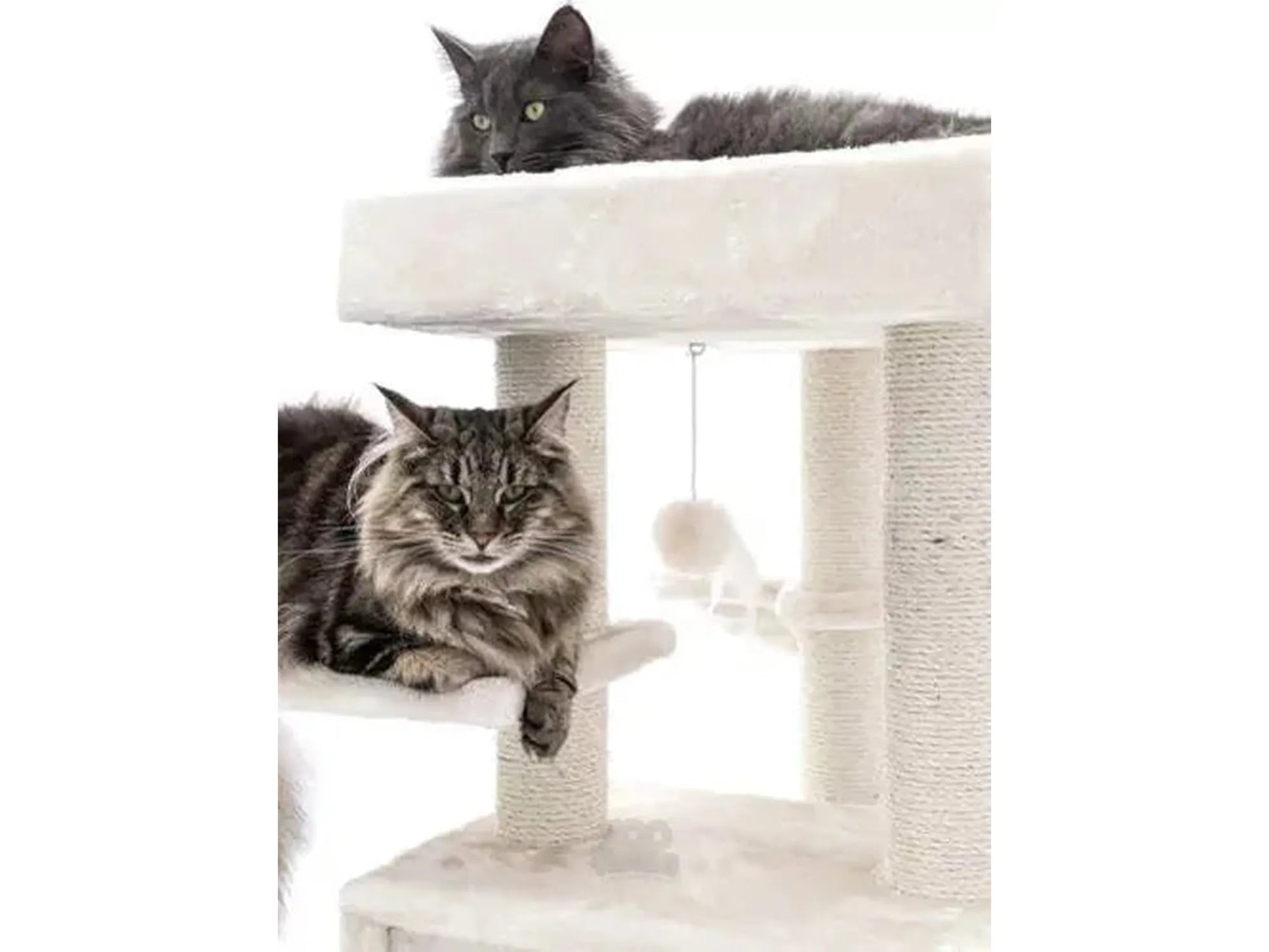 Elegant, kremfarget kloretre med sisalstolper, en grå katt på toppen og en brunstripet katt på en hylle.