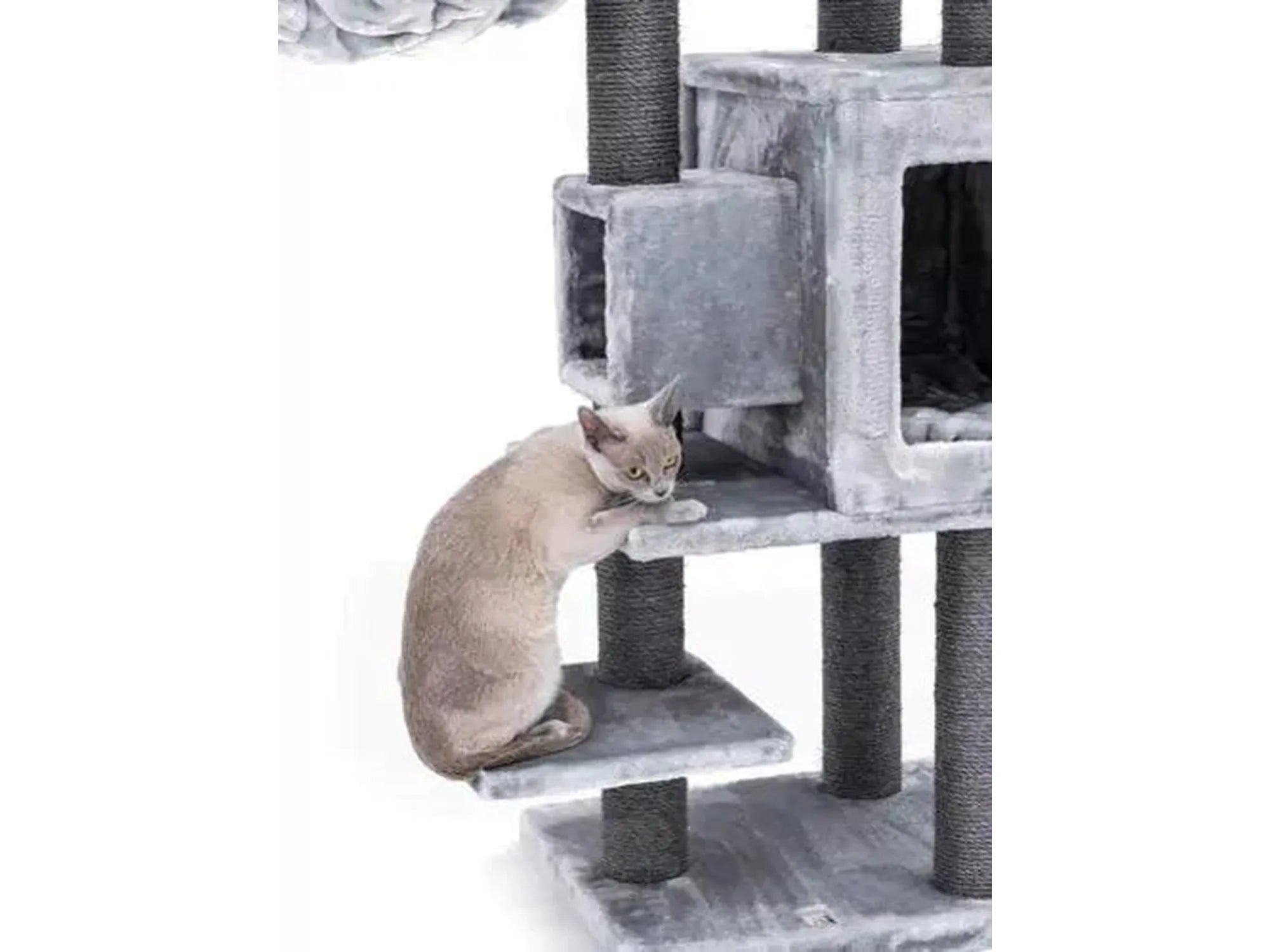 Elegant grått kloretre med sisalstolper, flere plattformer, huler og en katt.
