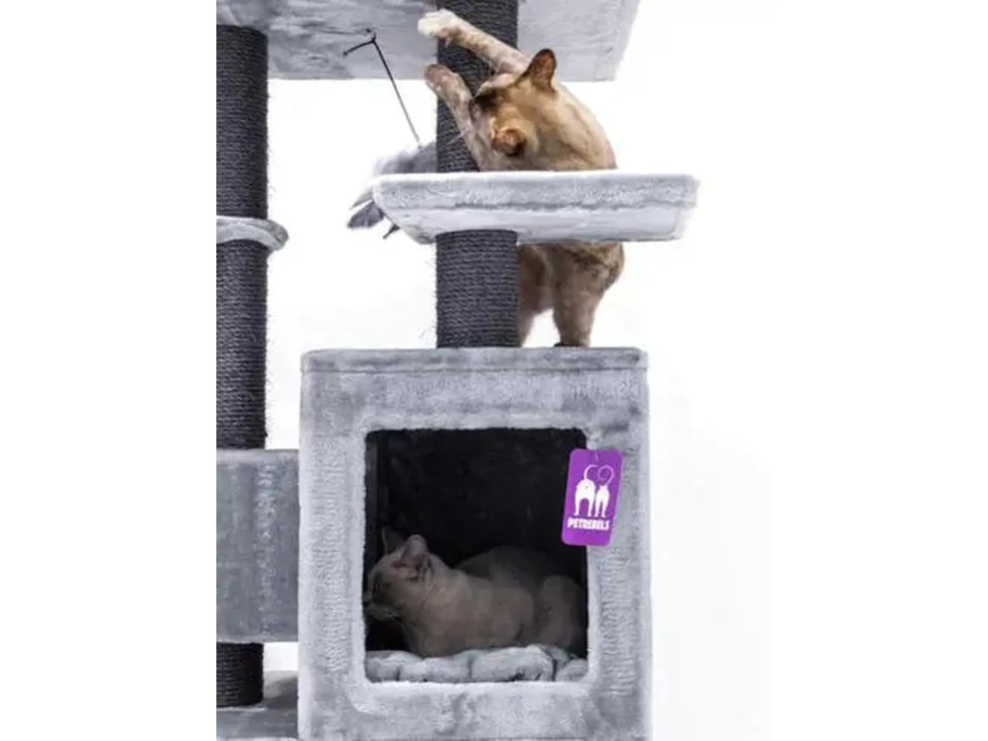Grått Petrebels Cleopatra 134 kloretre med sisalstolper, en sovehule og en katt som leker.