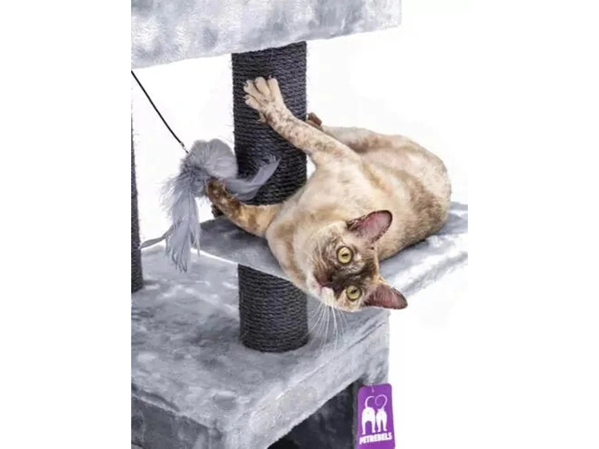 Grått Petrebels Cleopatra 134 kloretre med en katt som leker med en fjærleke.