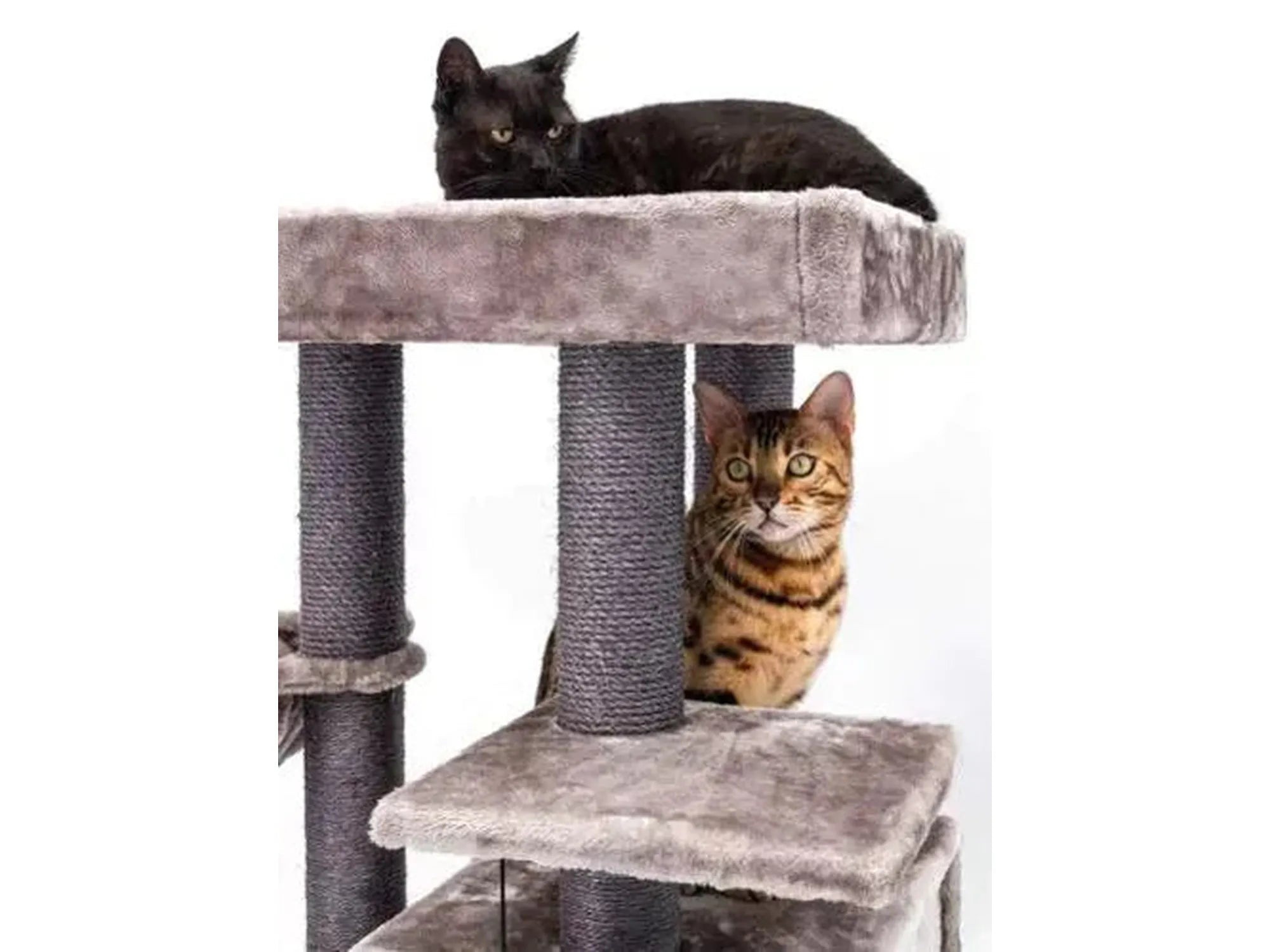 Elegant grått kloretre med flere nivåer, sisalstolper, en liggekurv og to katter.