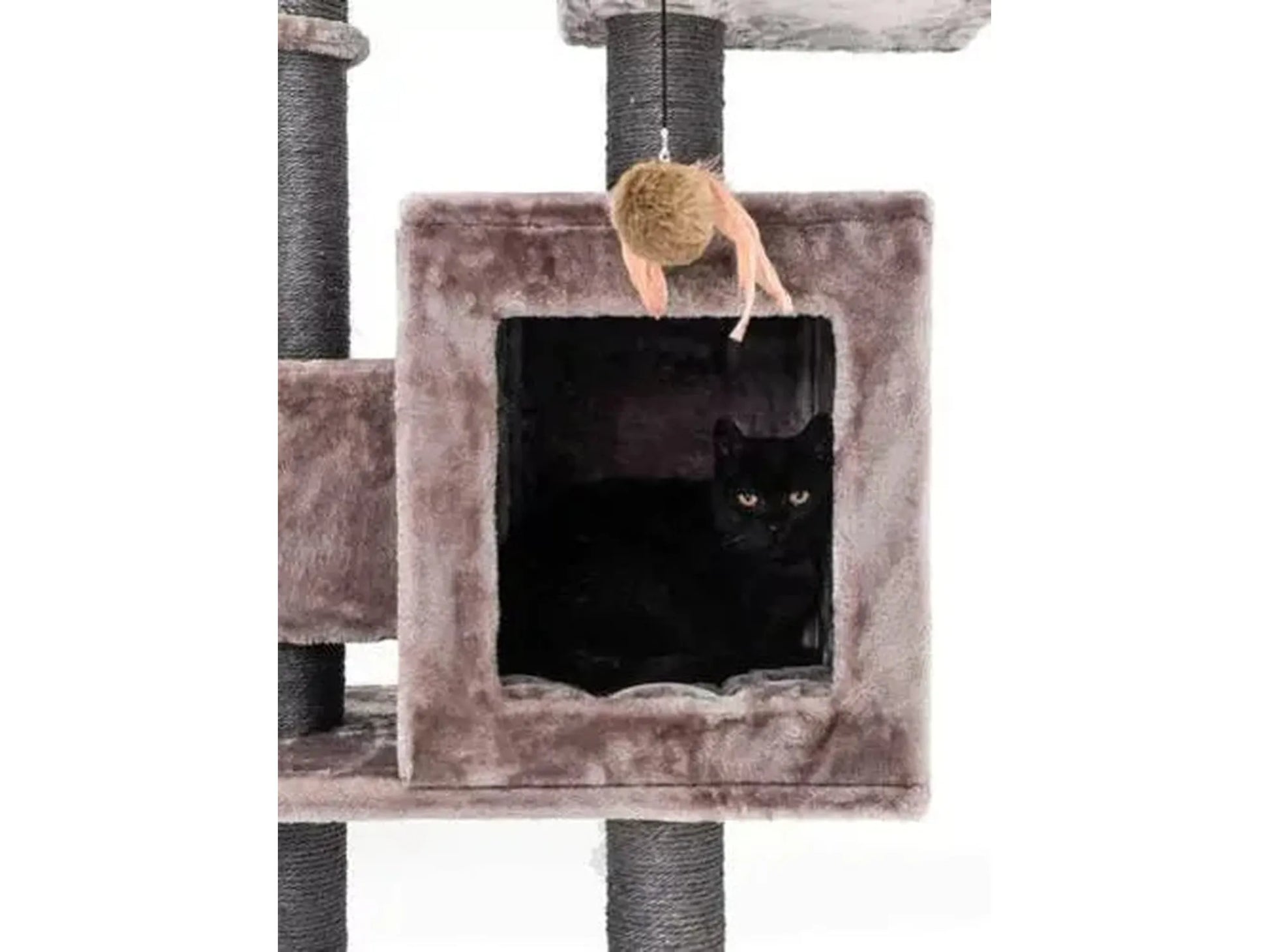 Elegant grått kloretre med en svart katt i en koselig sovehule og lekemus.