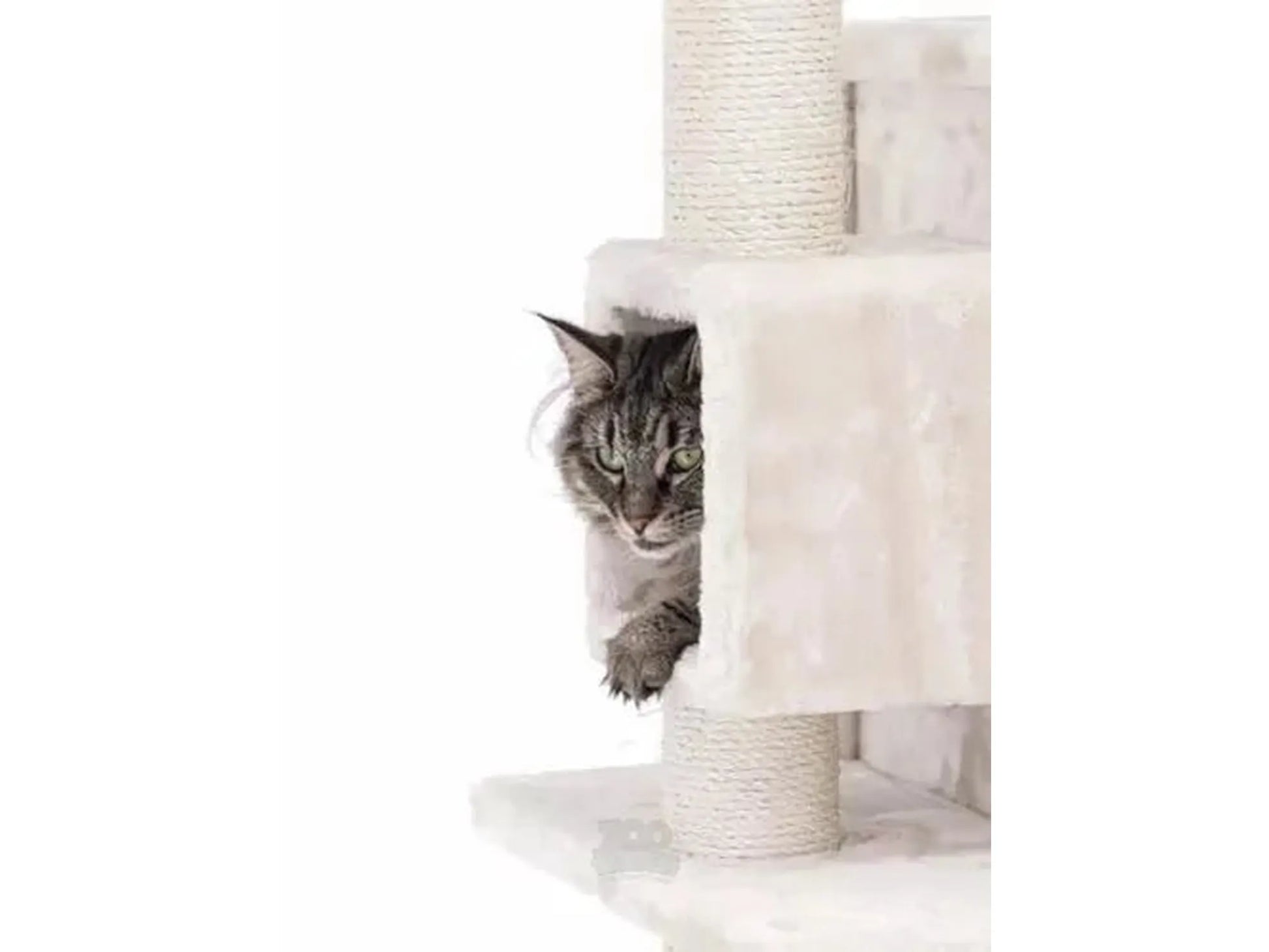Elegant kremfarget kloretre med sisalstolper og en katt som titter ut av en hule.