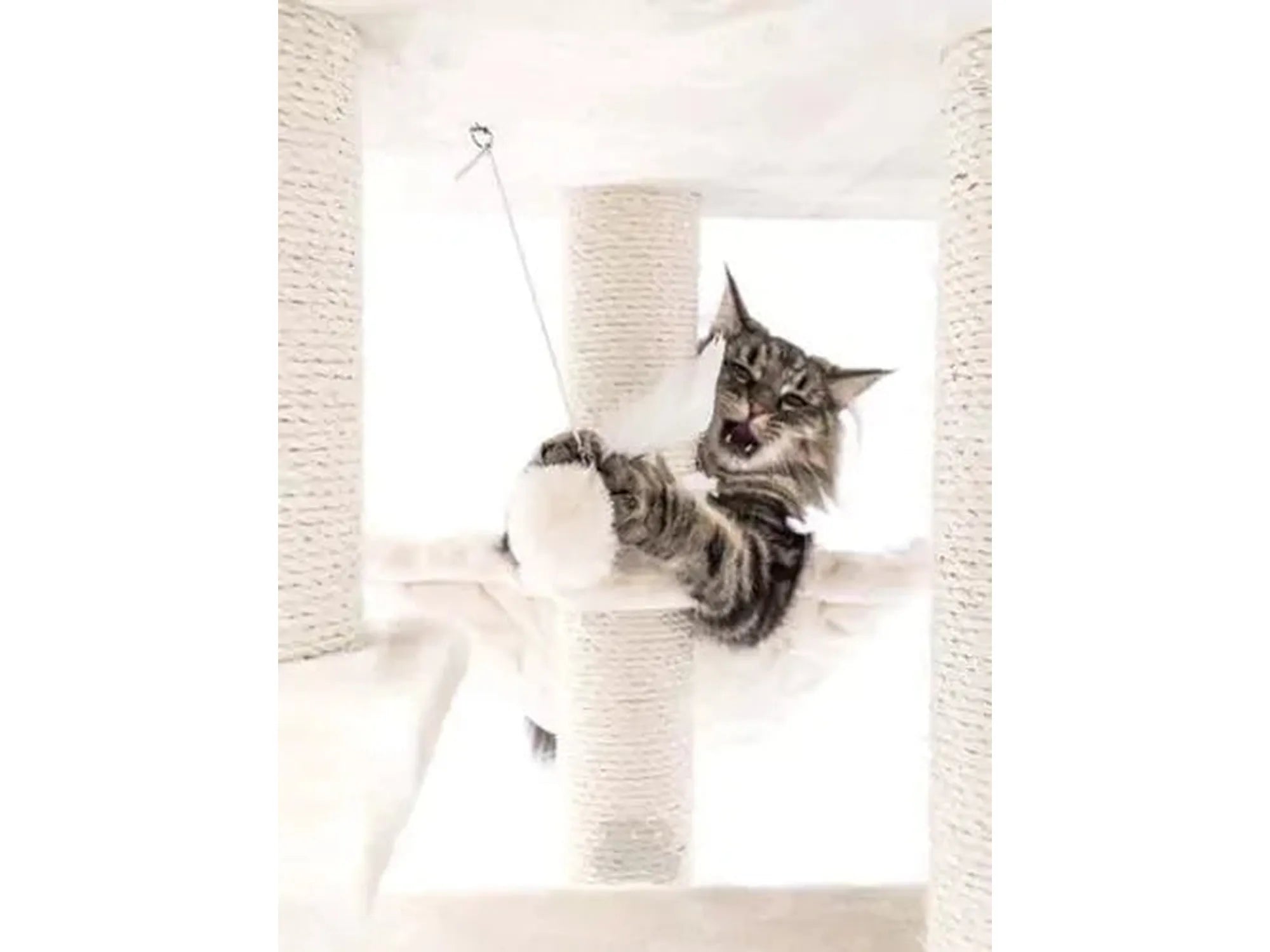Elegant kremfarget kloretre med tykke sisalstolper og en katt som leker i en hengekøye.