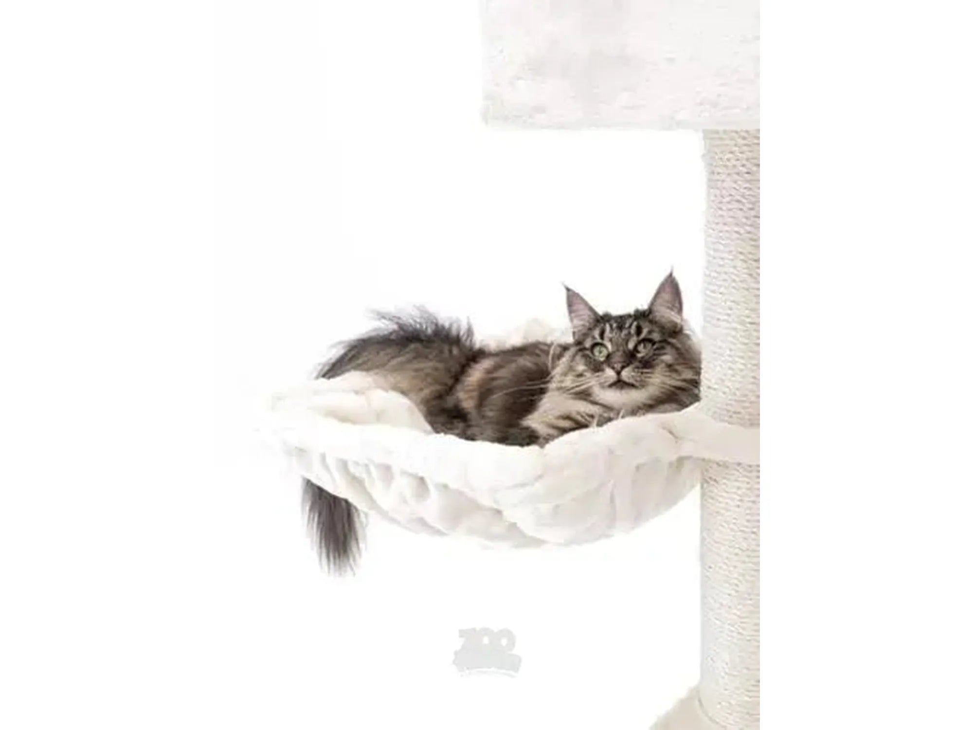 Brunstripet katt i hvit, myk hengekøye på et elegant kloretre med sisalstolpe.