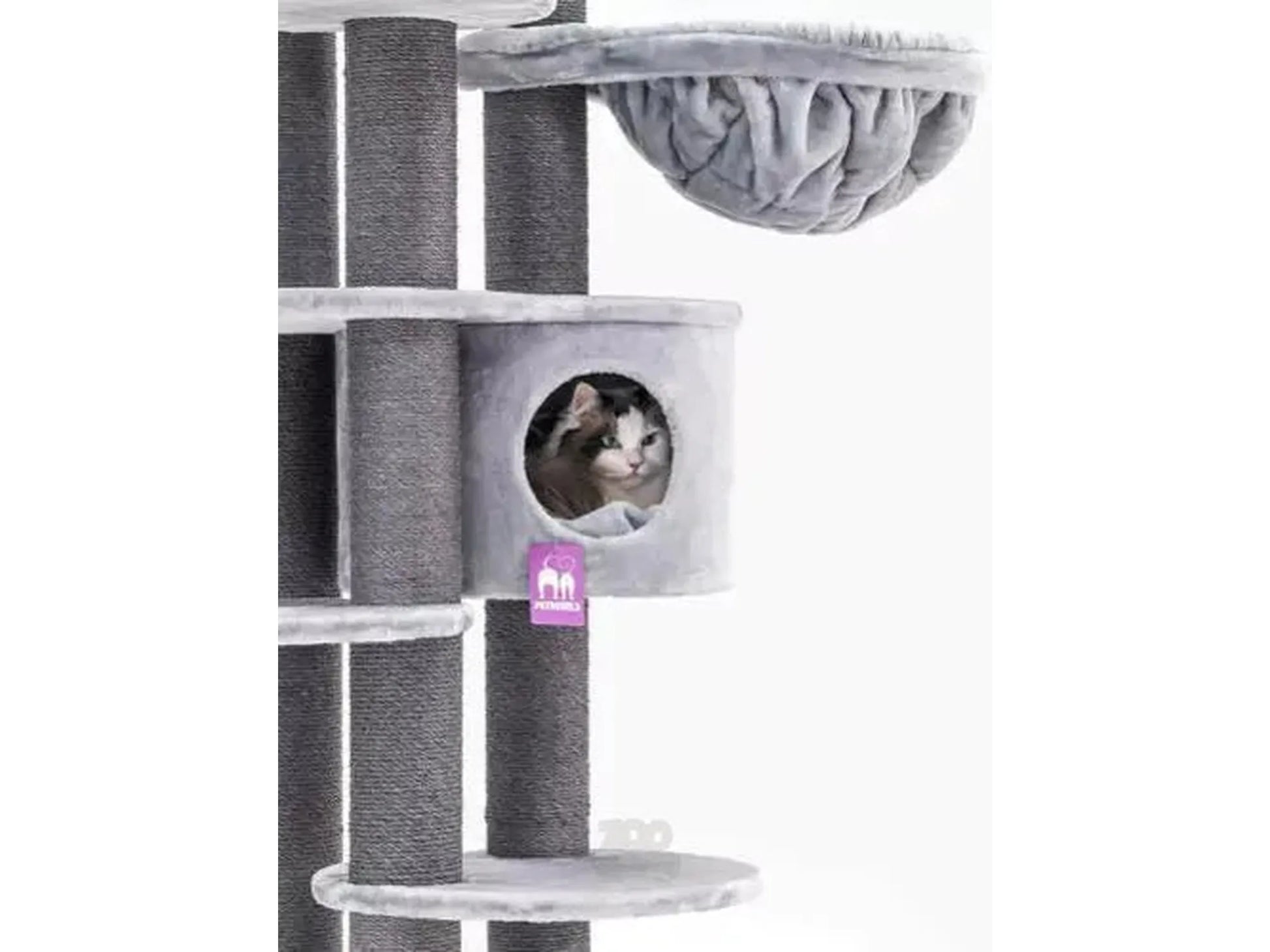 Grått Petrebels Isabella 170 kloretre med sisalstolper, hule, hengekøye og en katt som kikker ut.