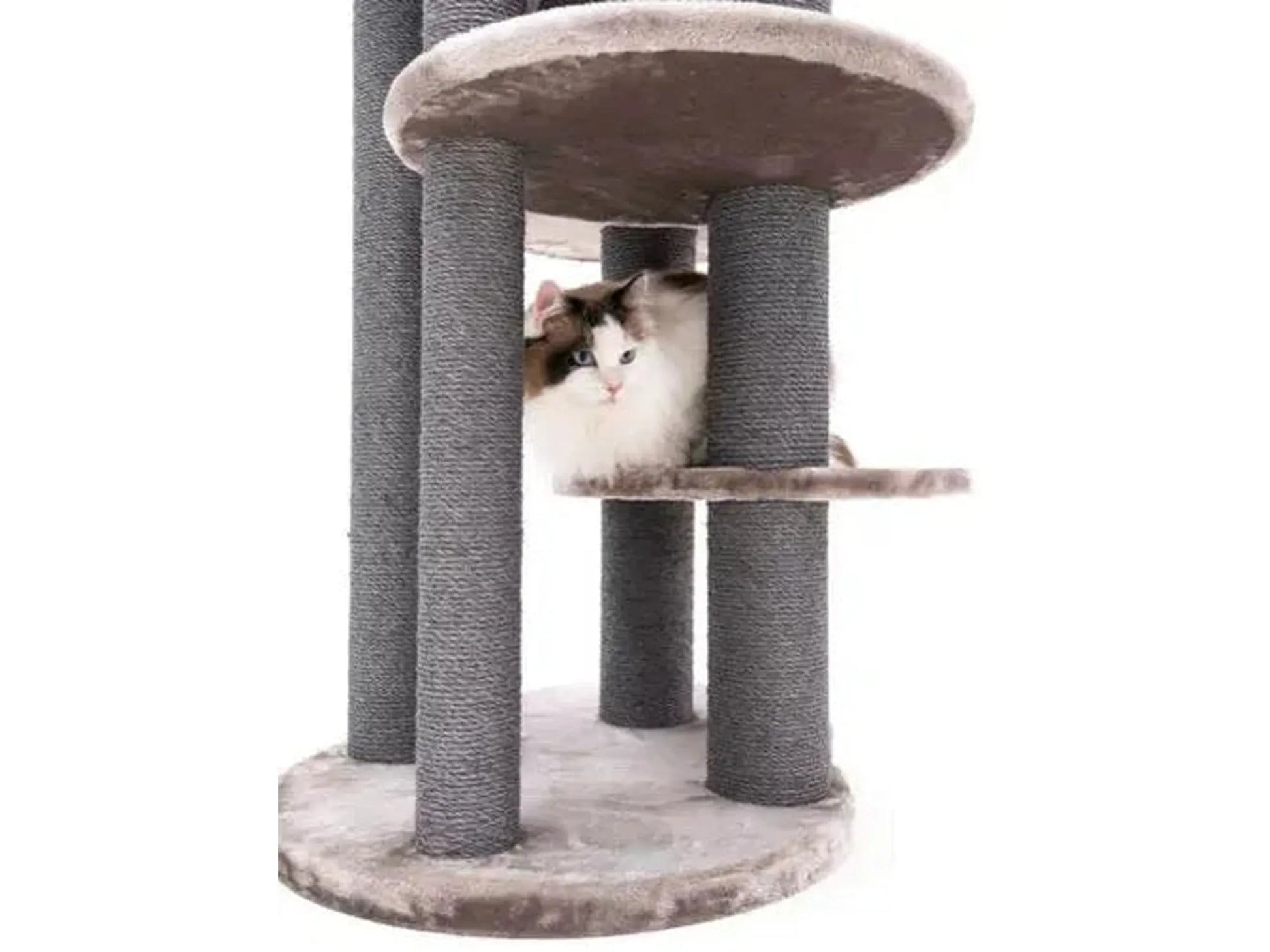 Grått XXL kloretre med sisalstolper, flere nivåer og en hvit katt som hviler på en plattform.