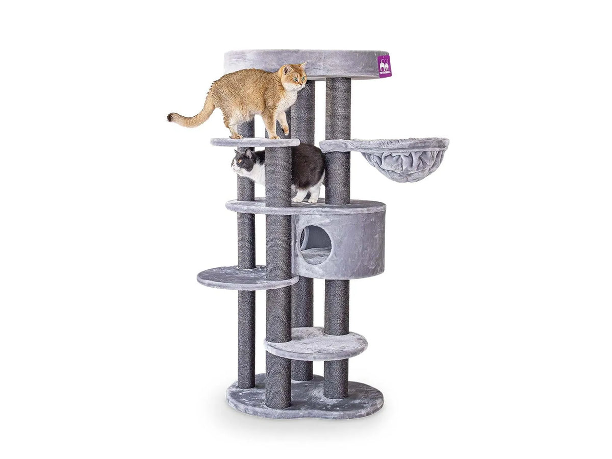 Petrebels Isabella 170 kattetre i grey