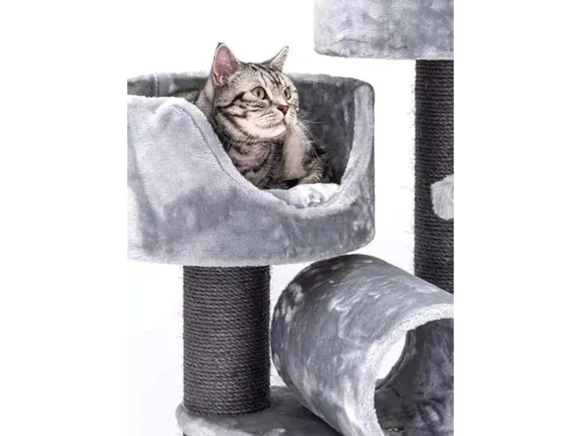 Grått, luksuriøst kloretre Victoria 125 med en katt i en myk liggeplass, sisalstolper og tunnel.