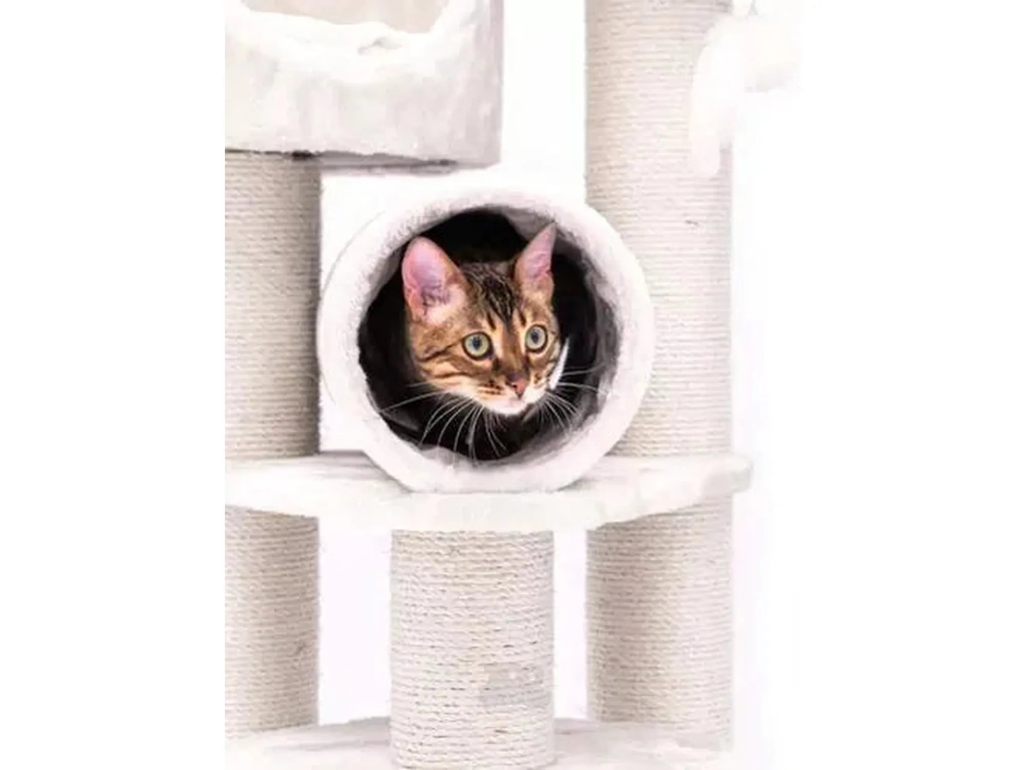 Katt i en hvit plysj leketunnel på et Kings & Queens Victoria 125 kloretre med sisalstolper.