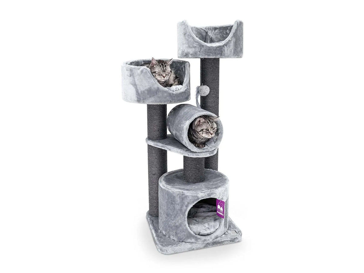 Petrebels Victoria 125 kattetre i grey