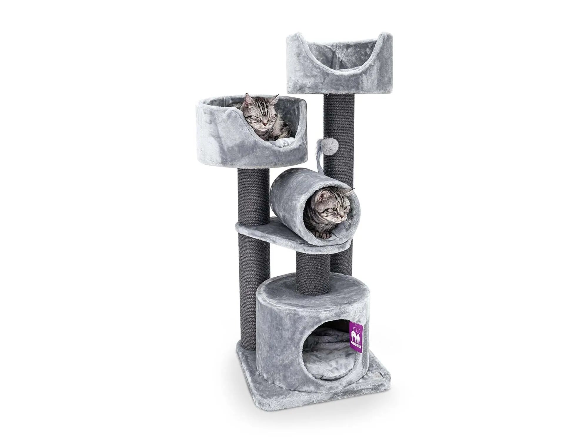 Petrebels Victoria 125 kattetre i grey
