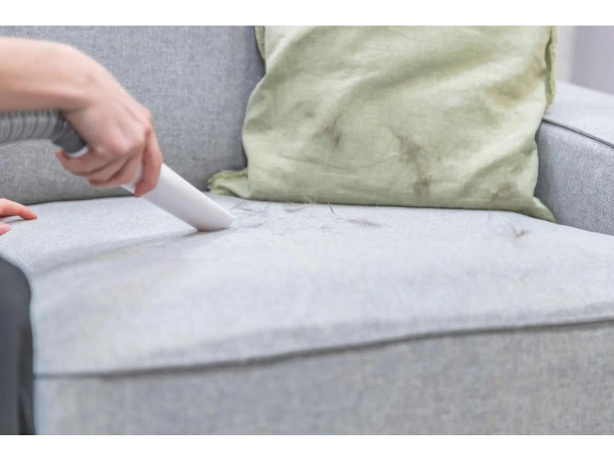 Hånd støvsuger dyrehår fra en grå sofa med et grønt putetrekk.