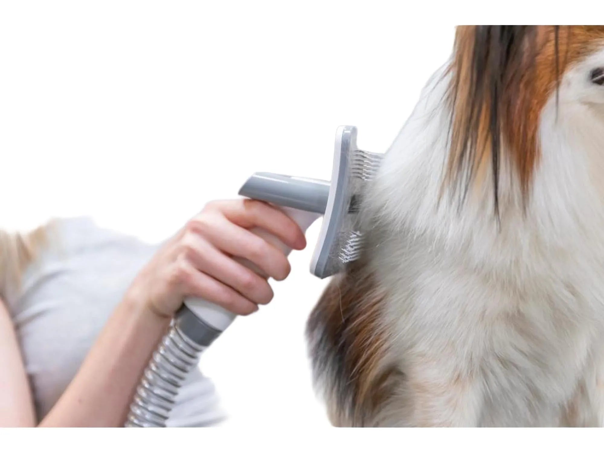Kvinne børster en hund med en hvit og grå Klippemaskin med Støvsuger og stellverktøy.