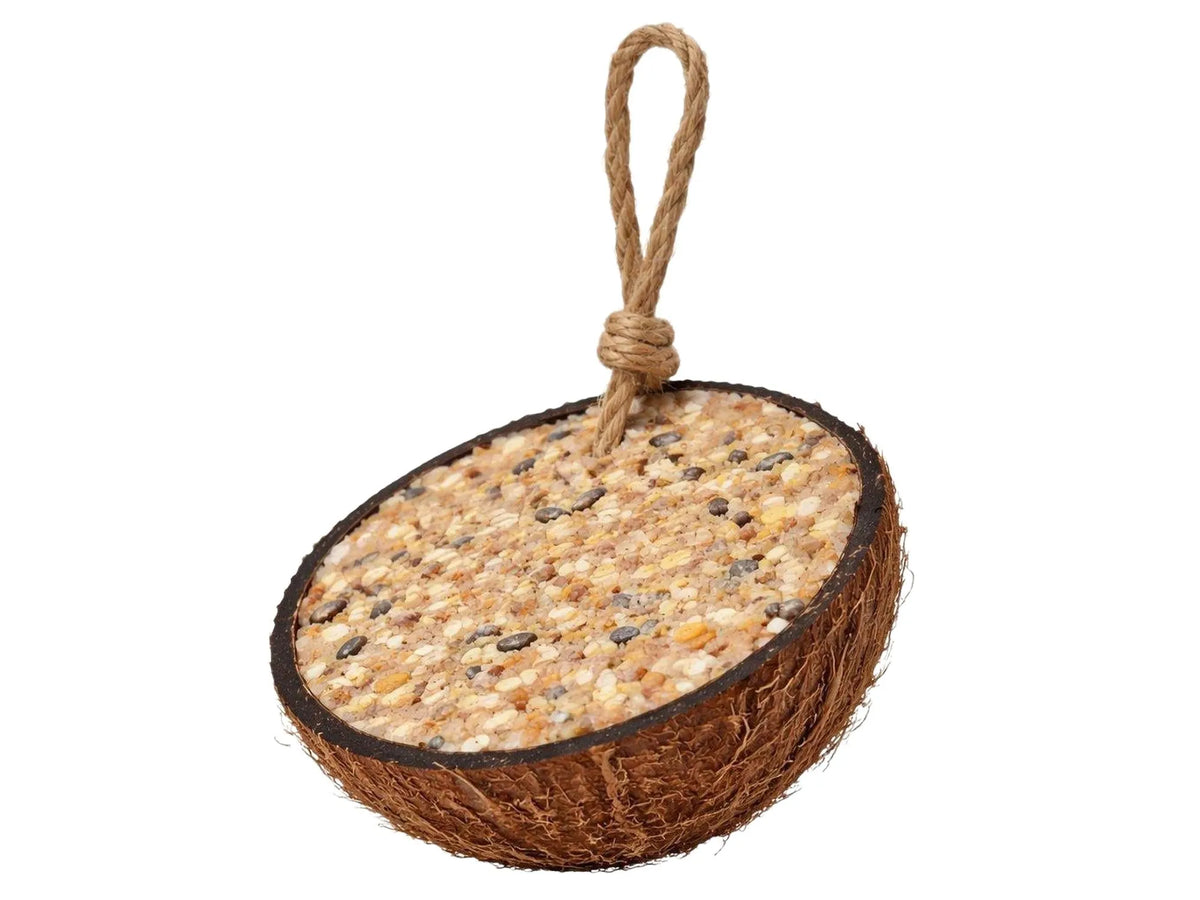 Brun kokosnøtthalvdel fylt med frø og bær, med en tykk hampesnor for oppheng.