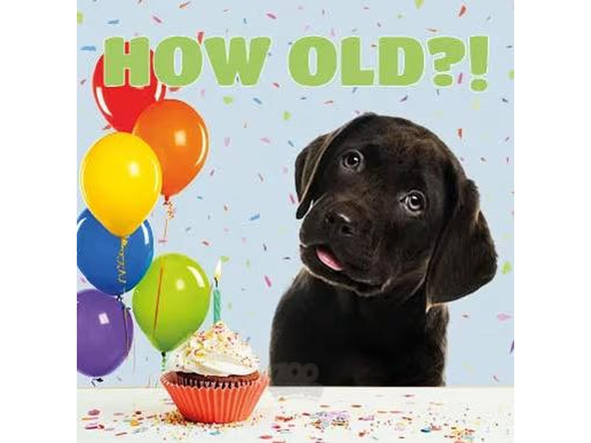 Bursdagskort med labrador-motiv How Old?