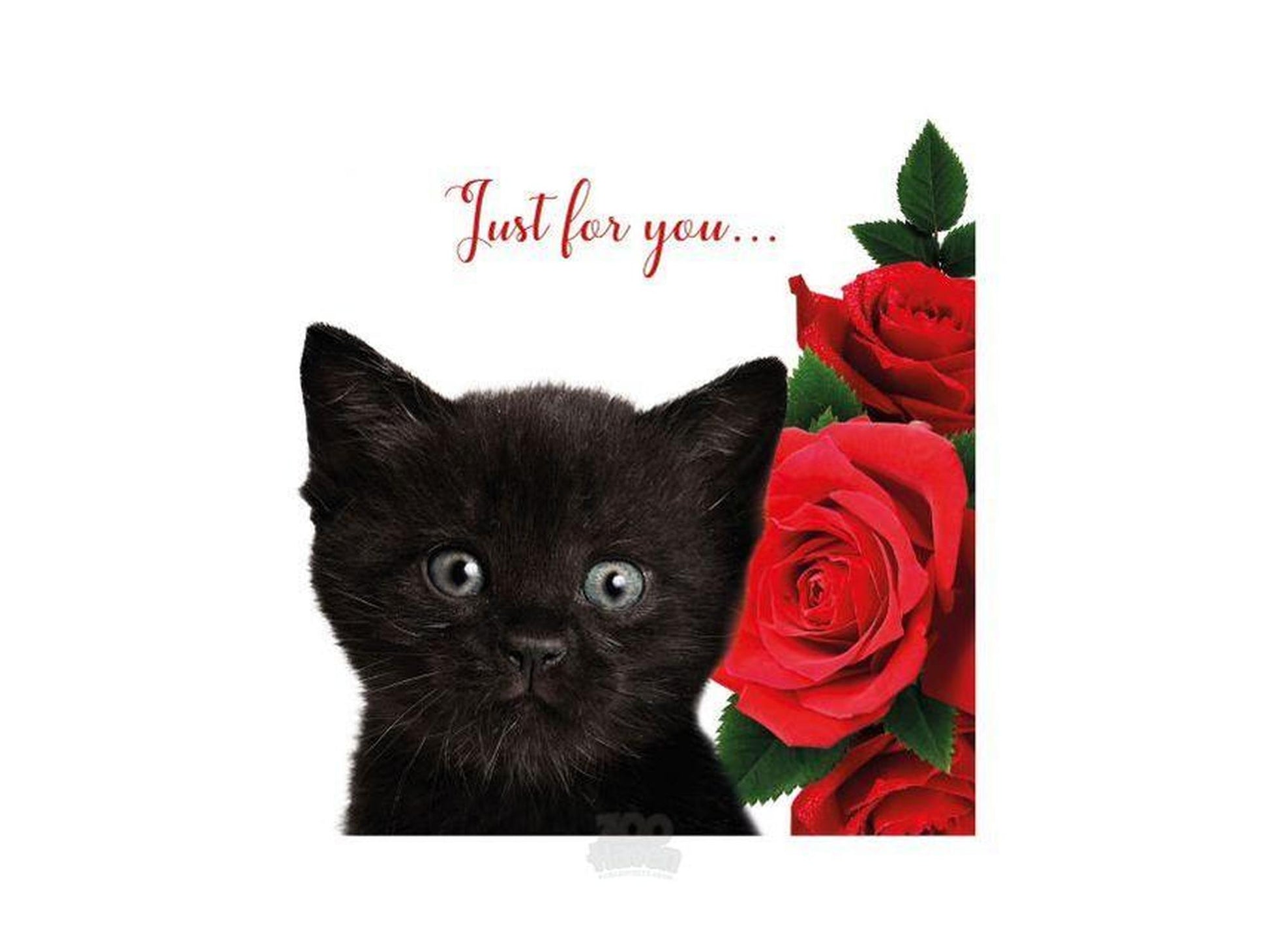 Kort med sort kattunge Just for you