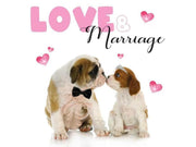Kort med hundemotiv Love & Marriage