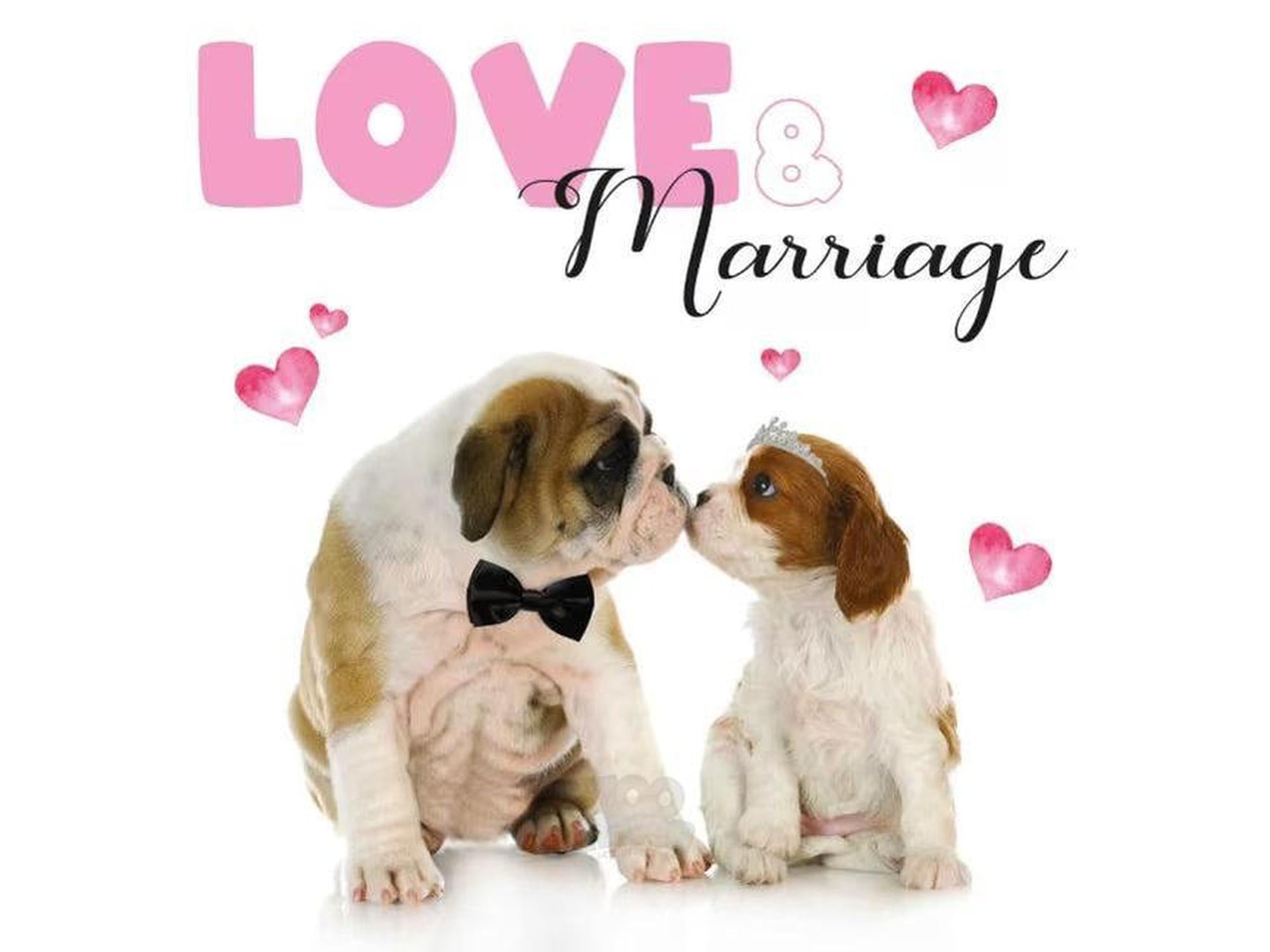 Kort med hundemotiv Love & Marriage