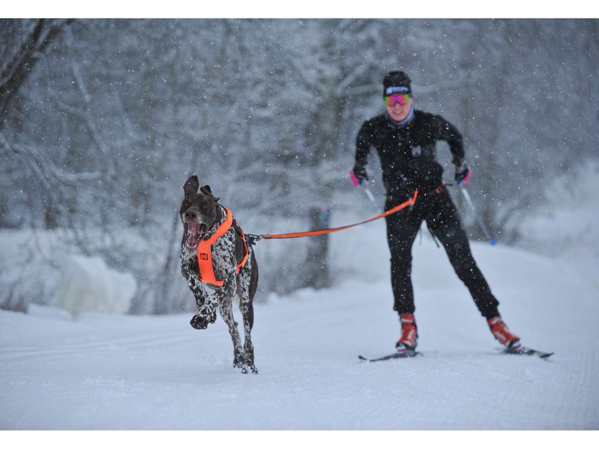 Non-stop dogwear Løype belt pro skibelte – Svart