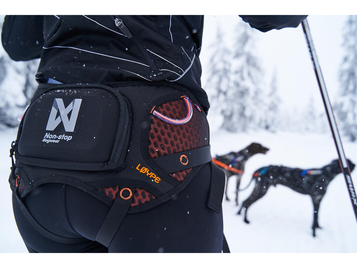 Non-stop dogwear Løype belt skibelte – Svart/oransje
