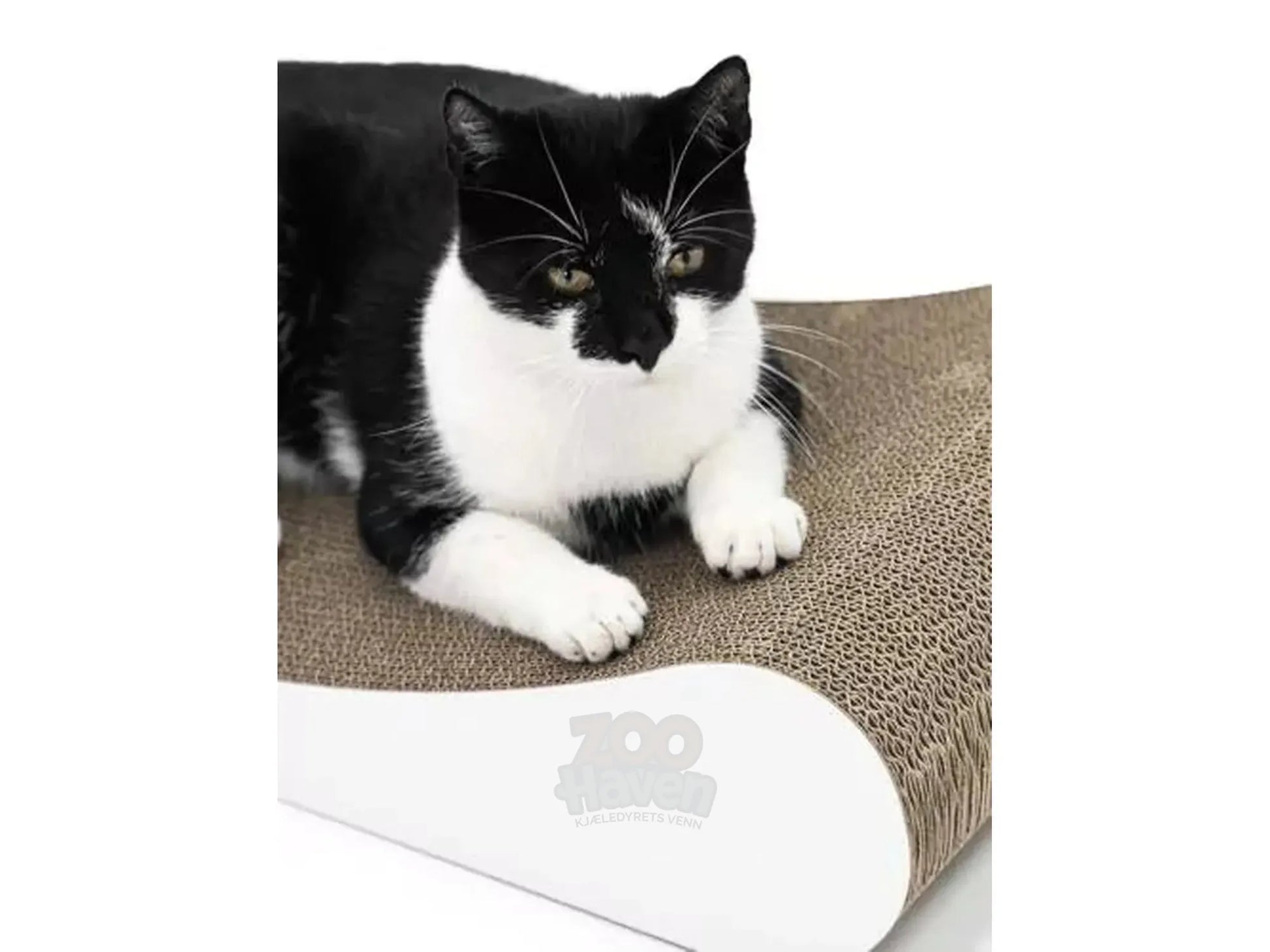 Svart-hvit katt hviler på Lily 75 halvmåneformet kloremøbel i bølgepapp.