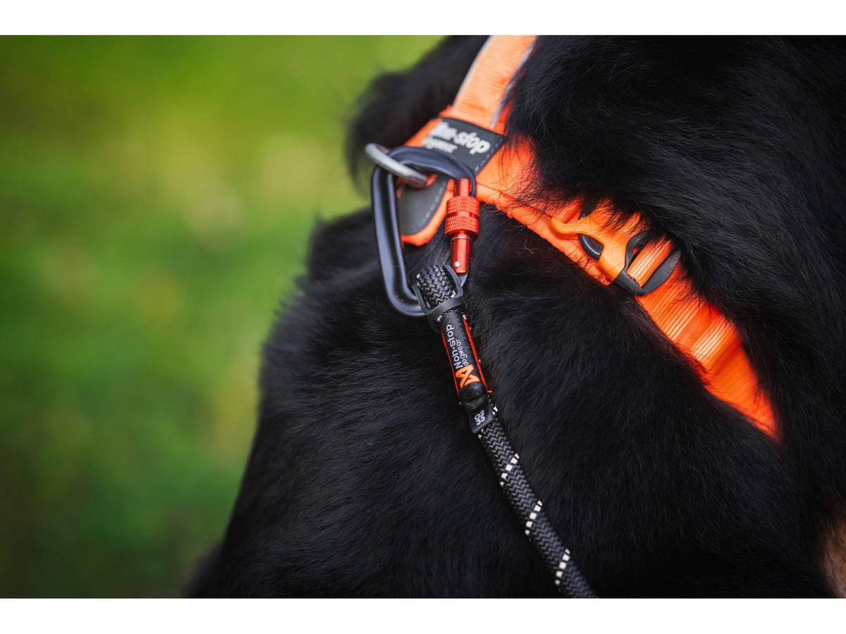 Non-stop dogwear Line harness 5.0 sele – Oransje