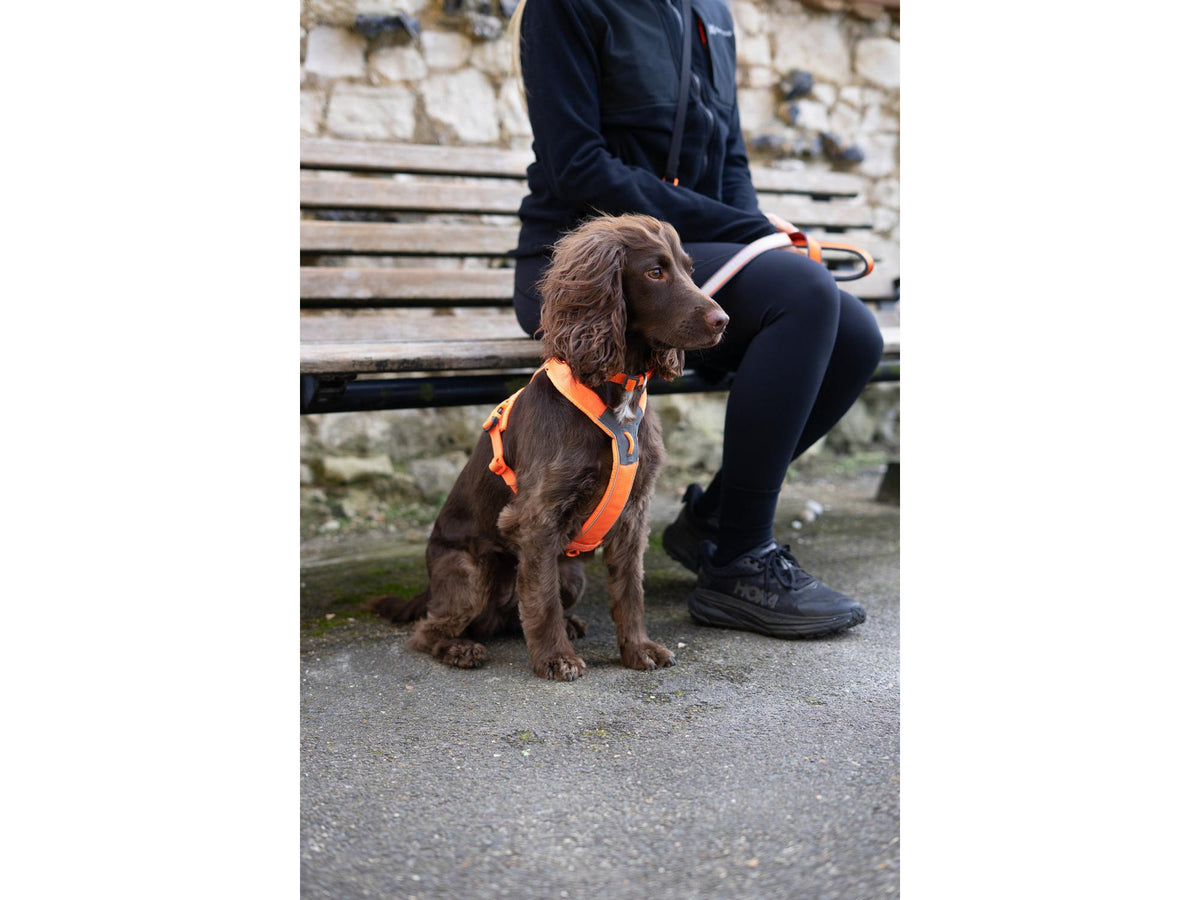 Non-stop dogwear Line harness 5.0 sele – Oransje