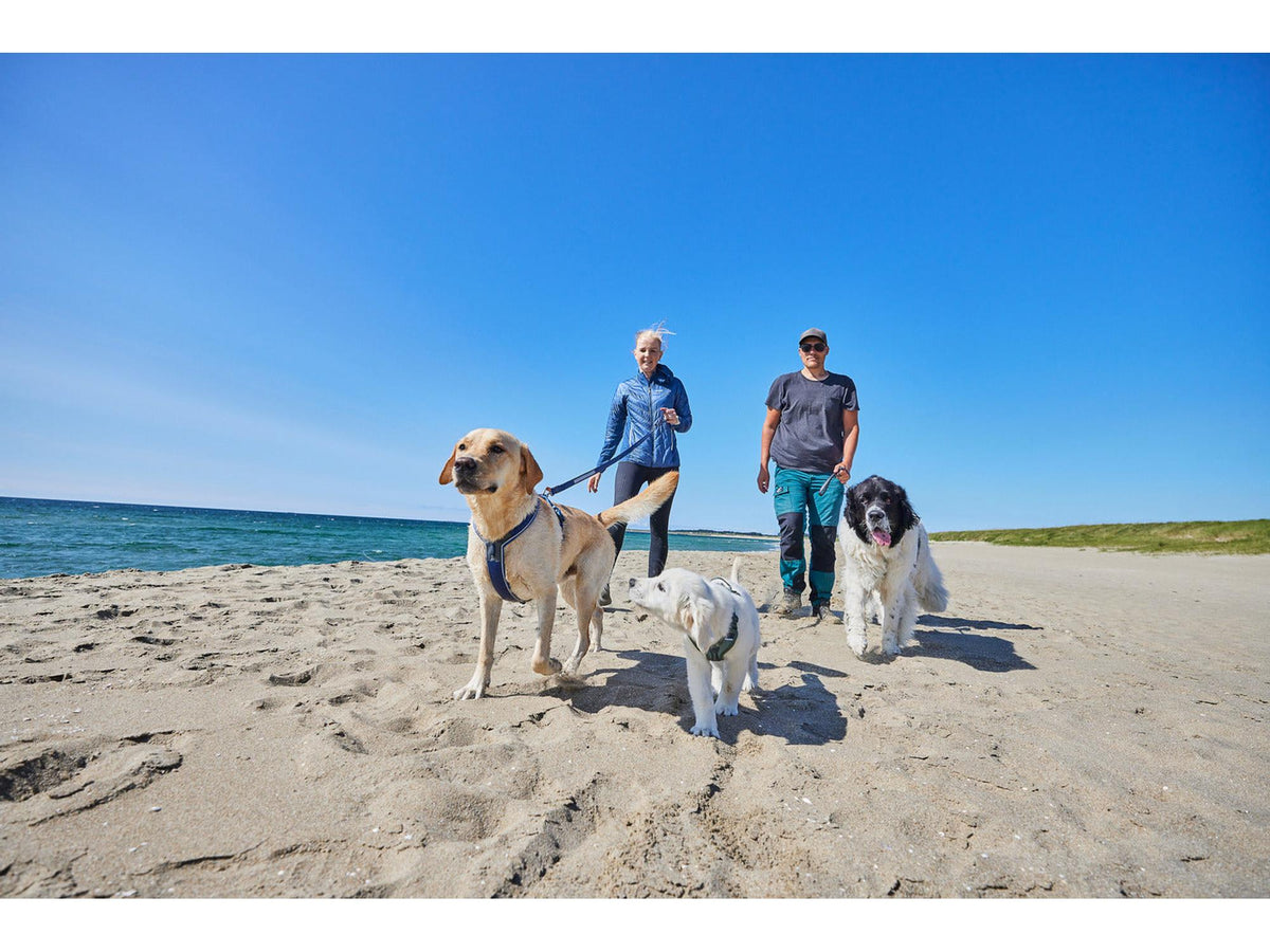 Non-stop dogwear Line harness 5.0 sele – Svart – modellen vist i annen farge