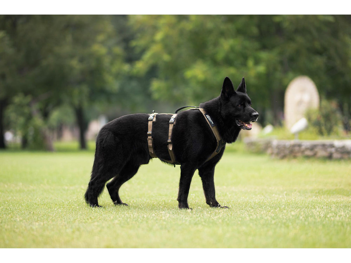 Non-stop dogwear Line harness long WD hundesele – Oliven
