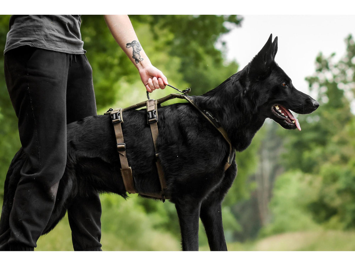 Non-stop dogwear Line harness long WD hundesele – Oliven