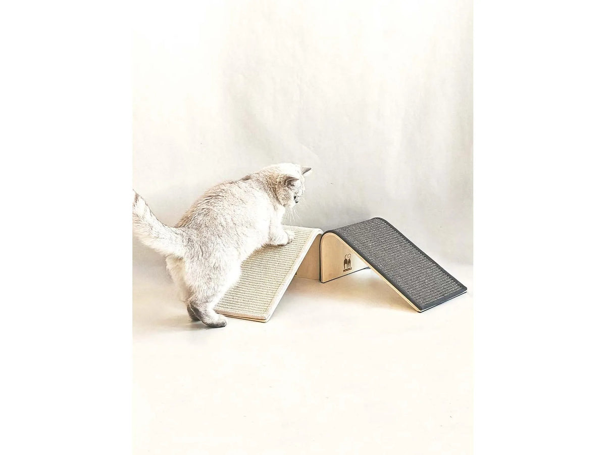 Petrebels Archie 38 med katt