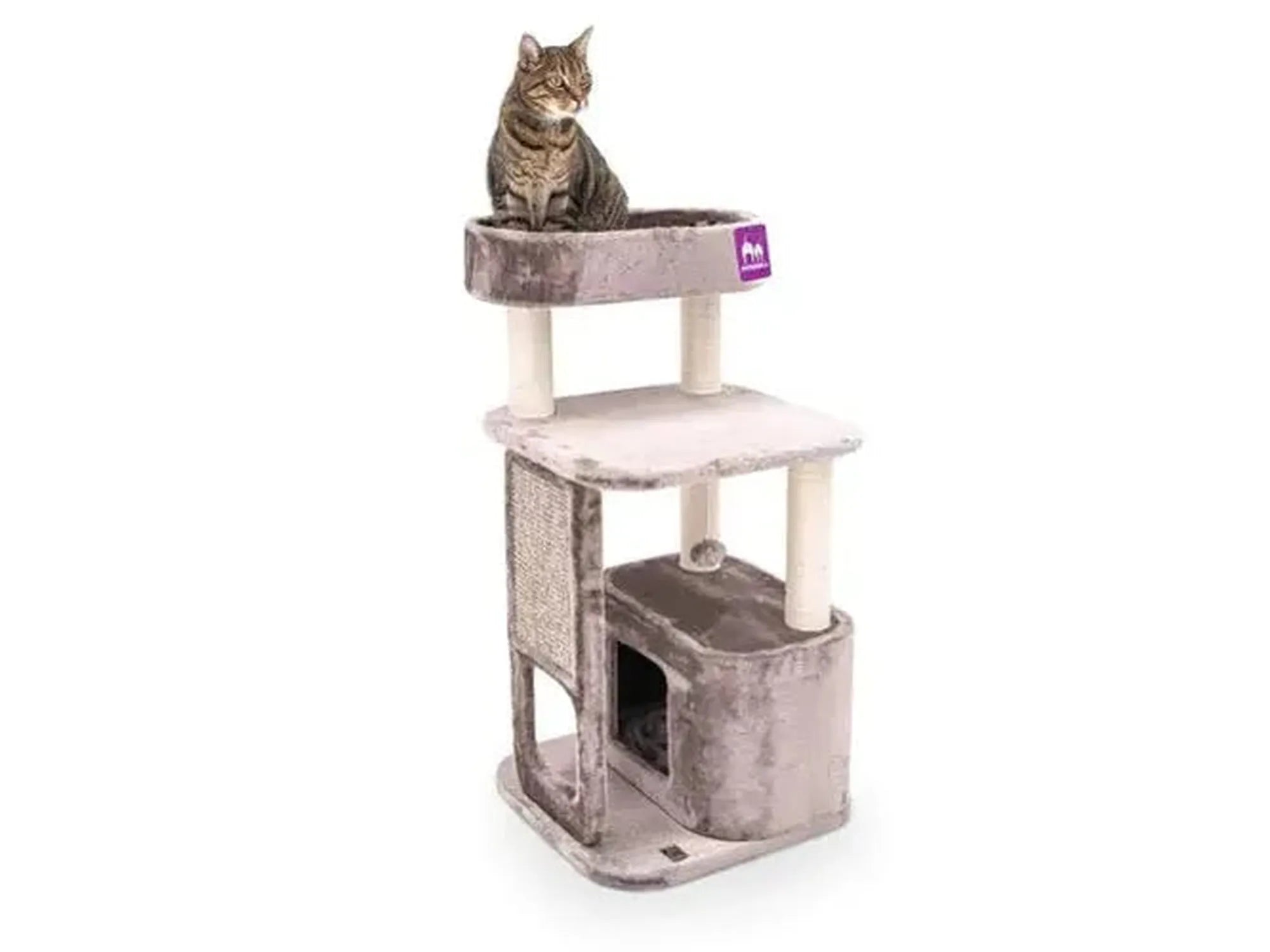 Kompakt Petrebels Little Rock 99 kloretre i grå plysj med sisalmatte og en katt på toppen.