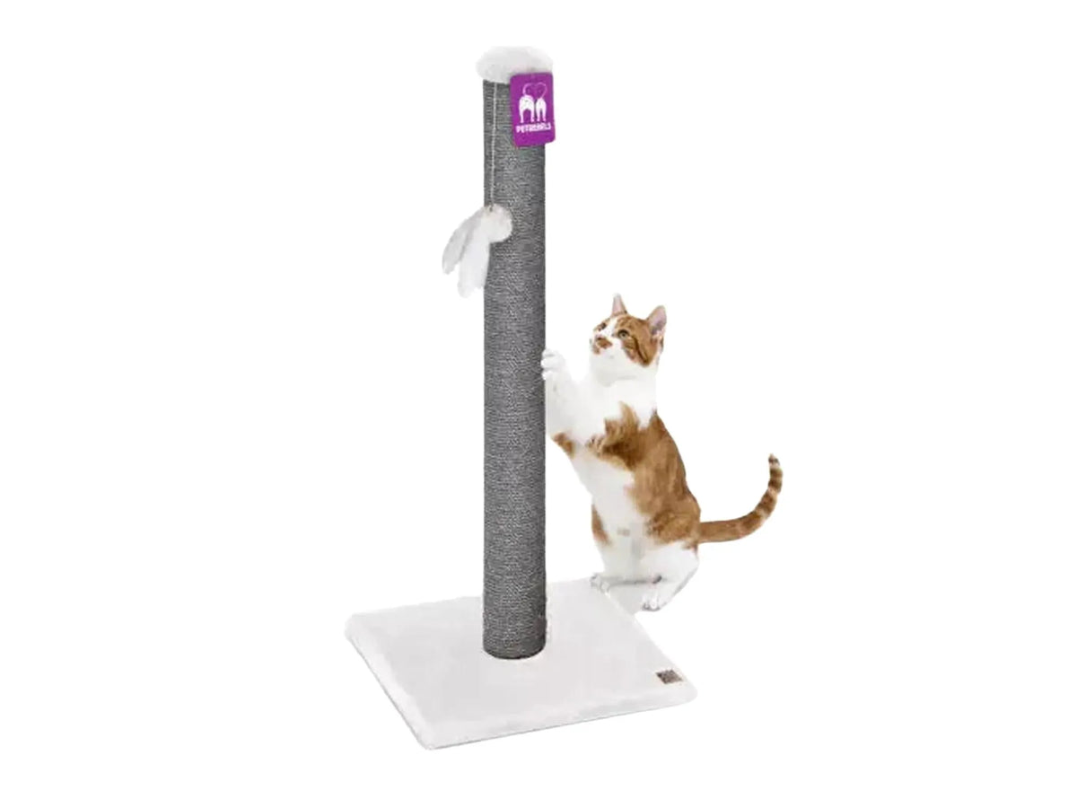 Little Rebels Maine 90 Deluxe cat scratching post in gray sisal with white base, a cat playing with toy.