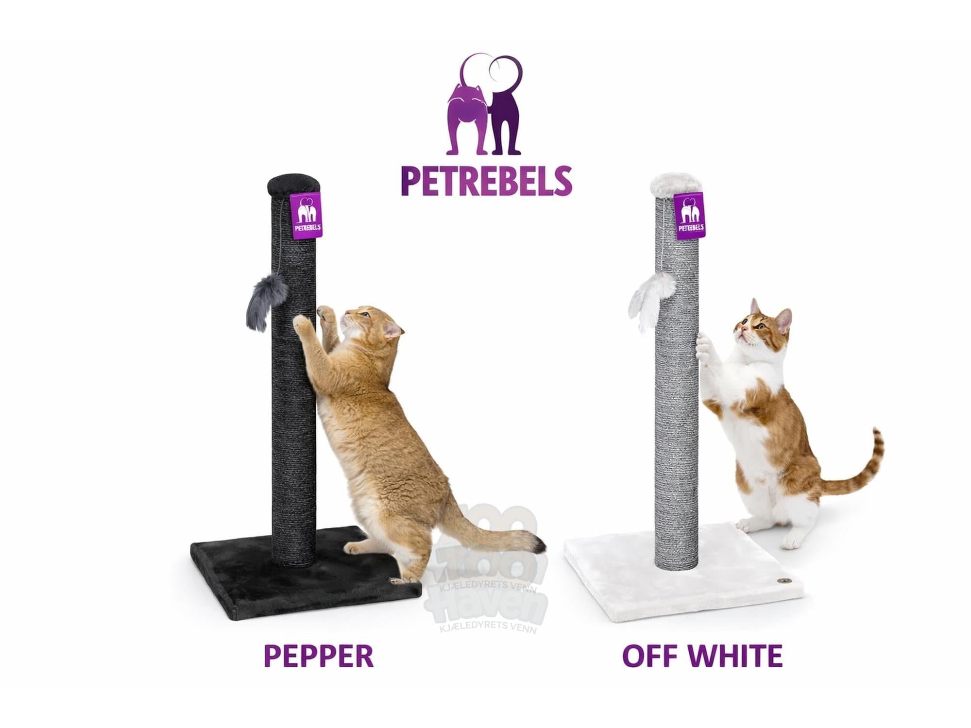 Little Rebels Maine 90 Delux (40x40x90cm) - Petrebels