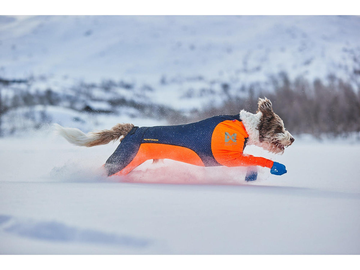 Non-stop dogwear Long distance bootie potesokker – Blå