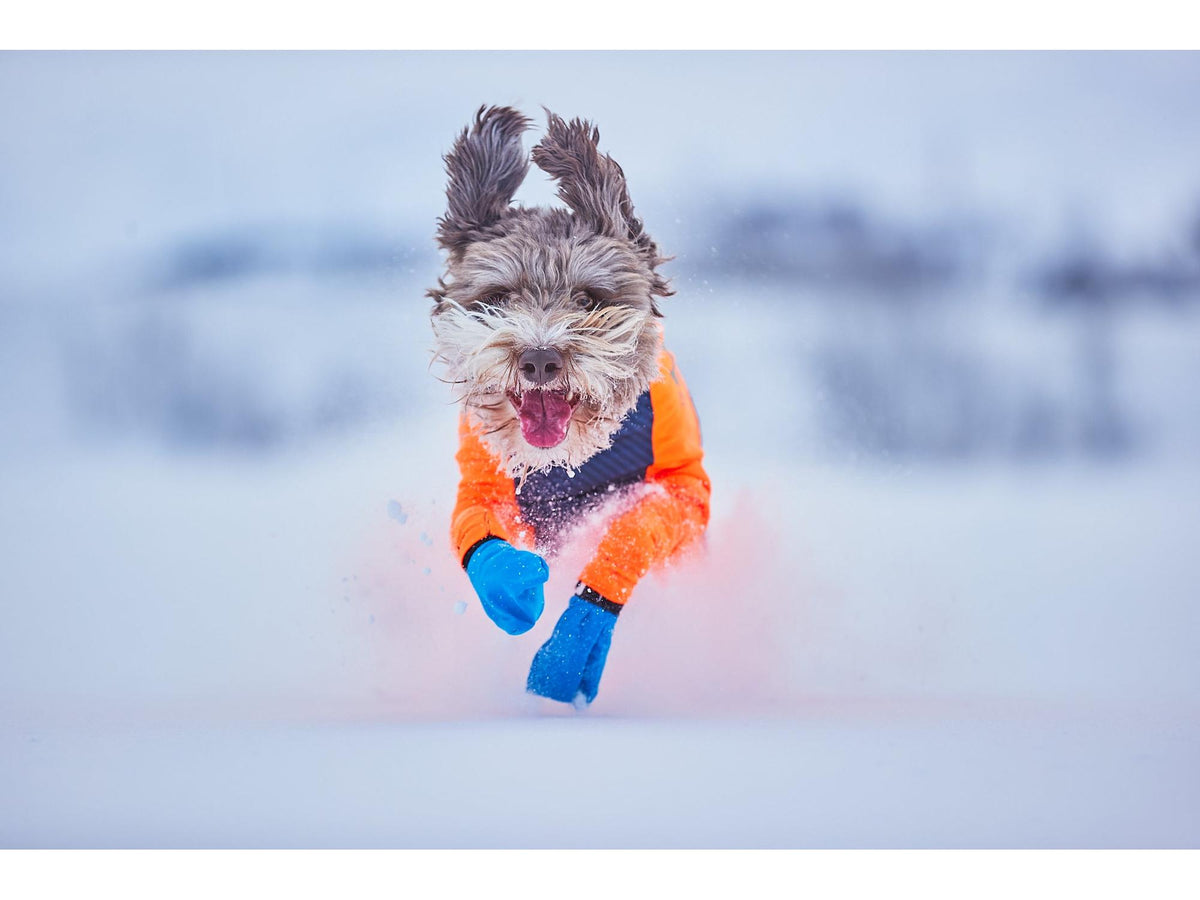 Non-stop dogwear Long distance bootie potesokker – Blå