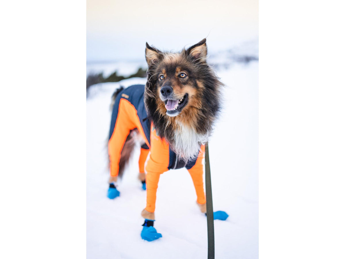 Non-stop dogwear Long distance bootie potesokker – Blå