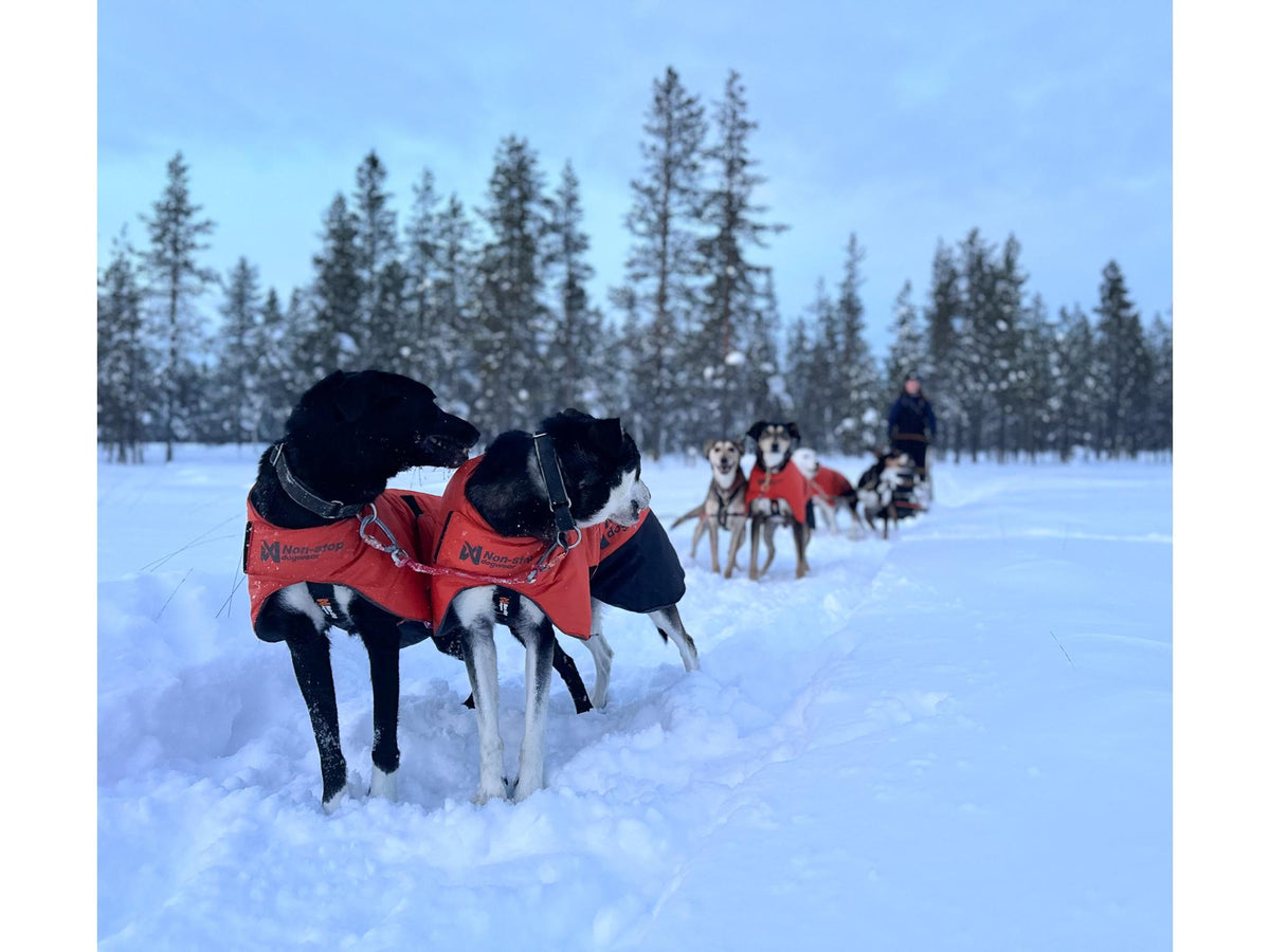 Non-stop dogwear Long distance + jacket vinterjakke – Oransje